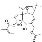 Metabolites 11 00015 i019