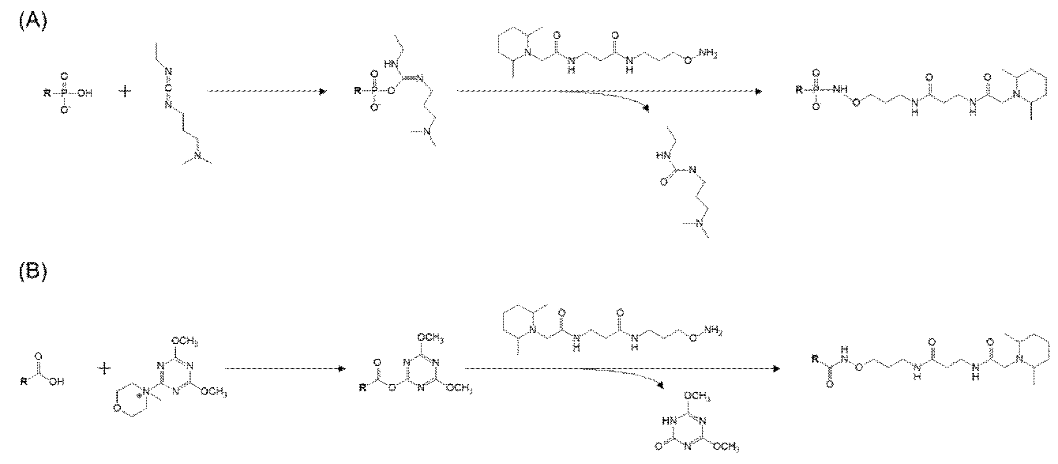 Metabolites 11 00019 g002