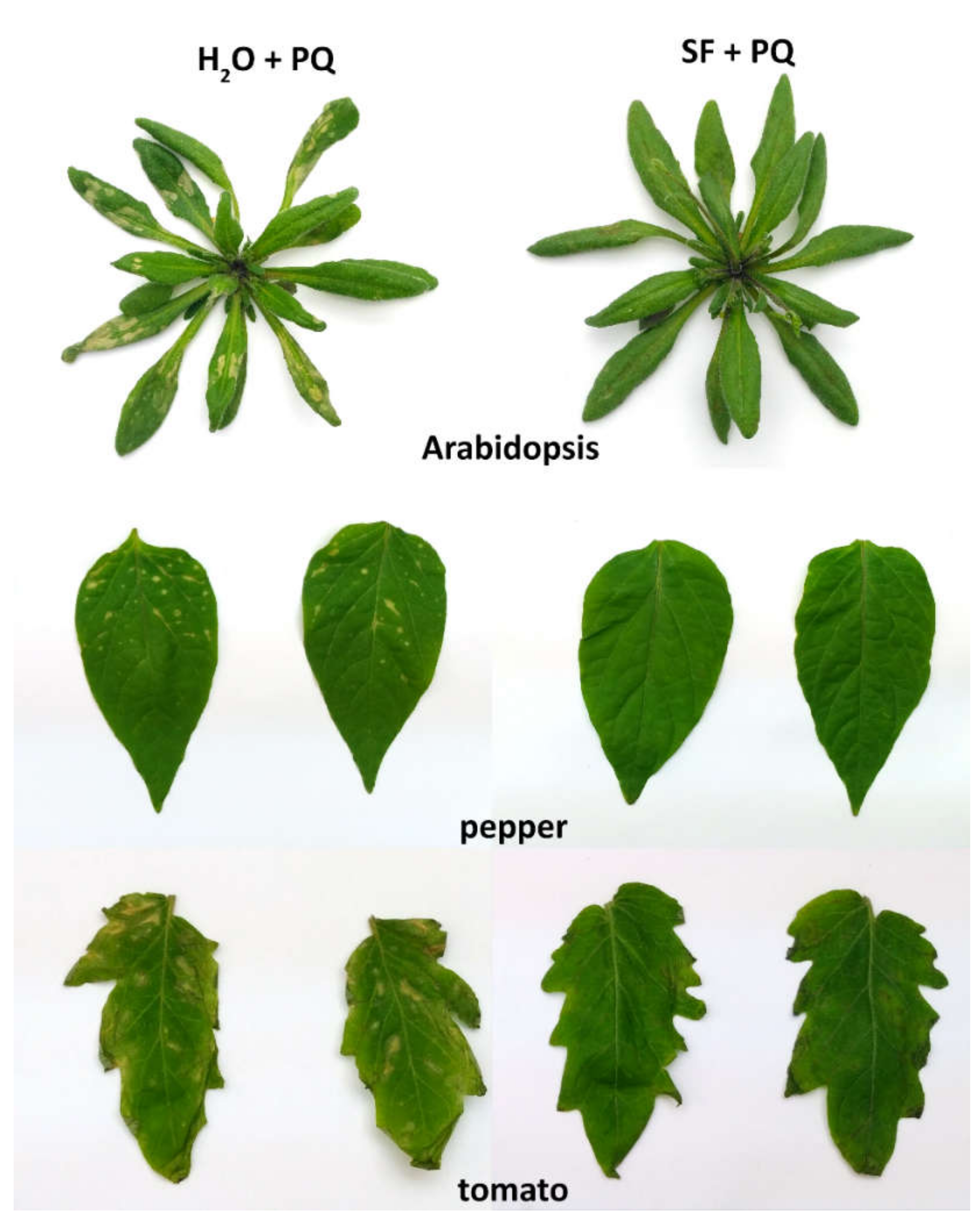 Metabolites 11 00024 g001