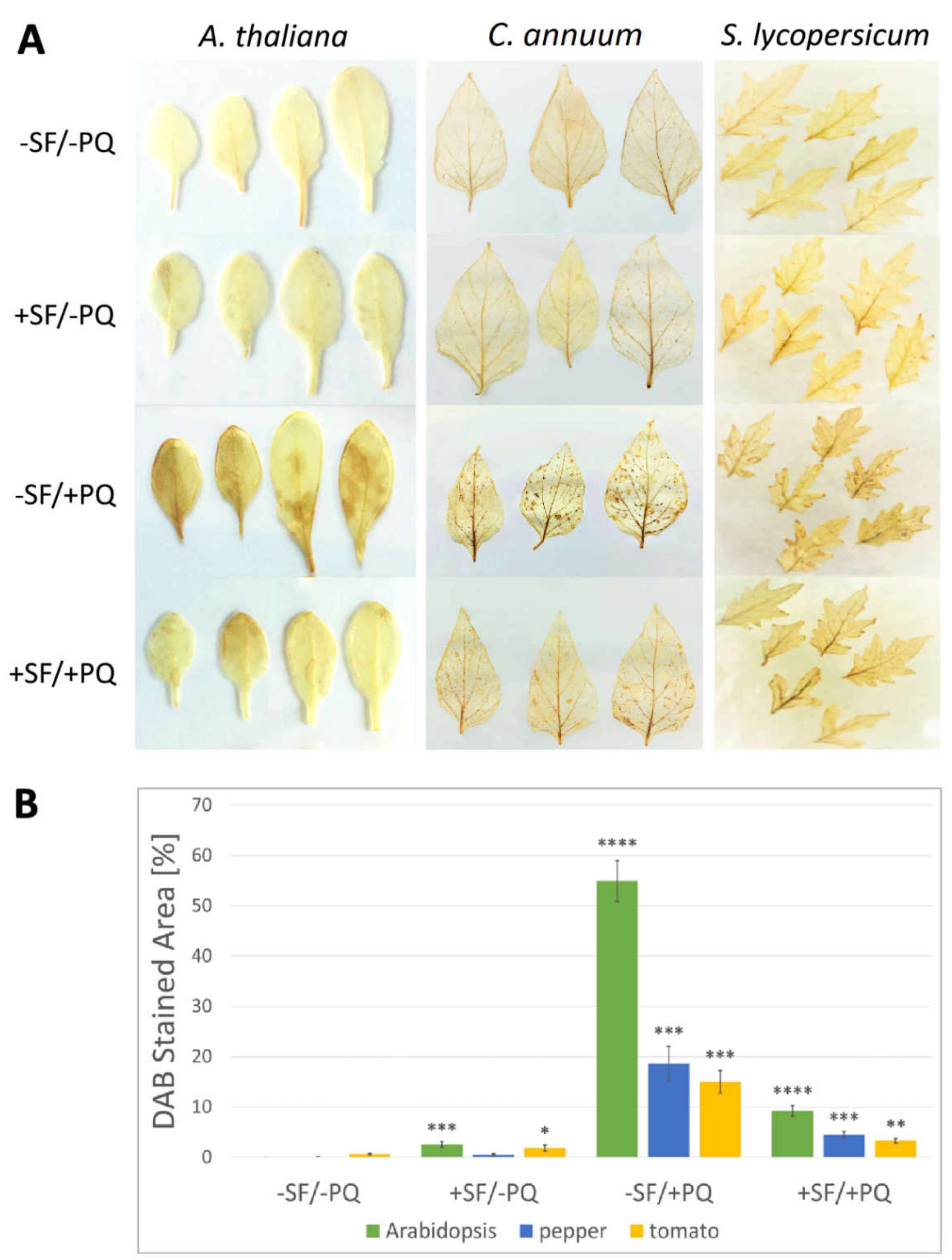 Metabolites 11 00024 g003
