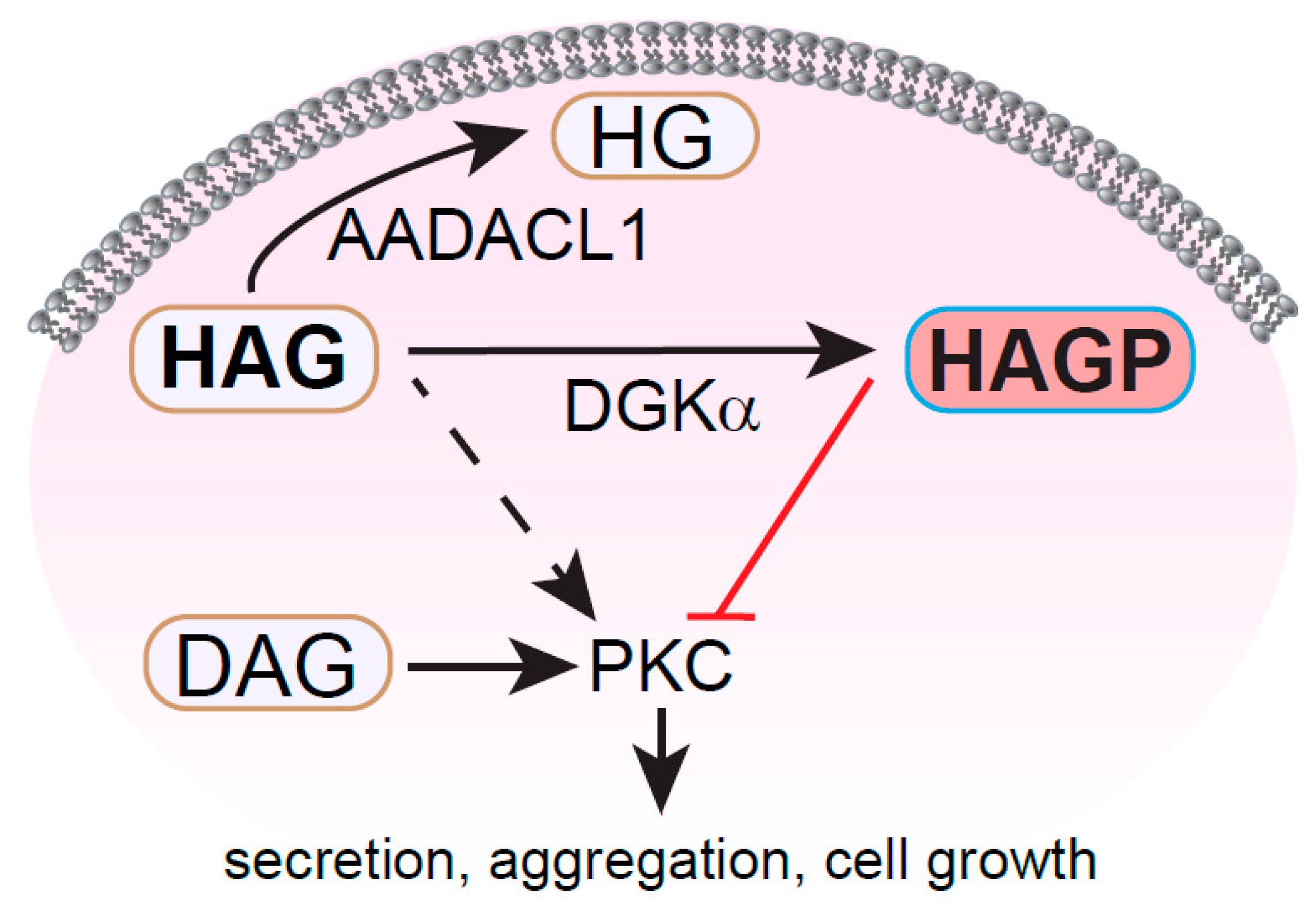 Metabolites 11 00041 g004