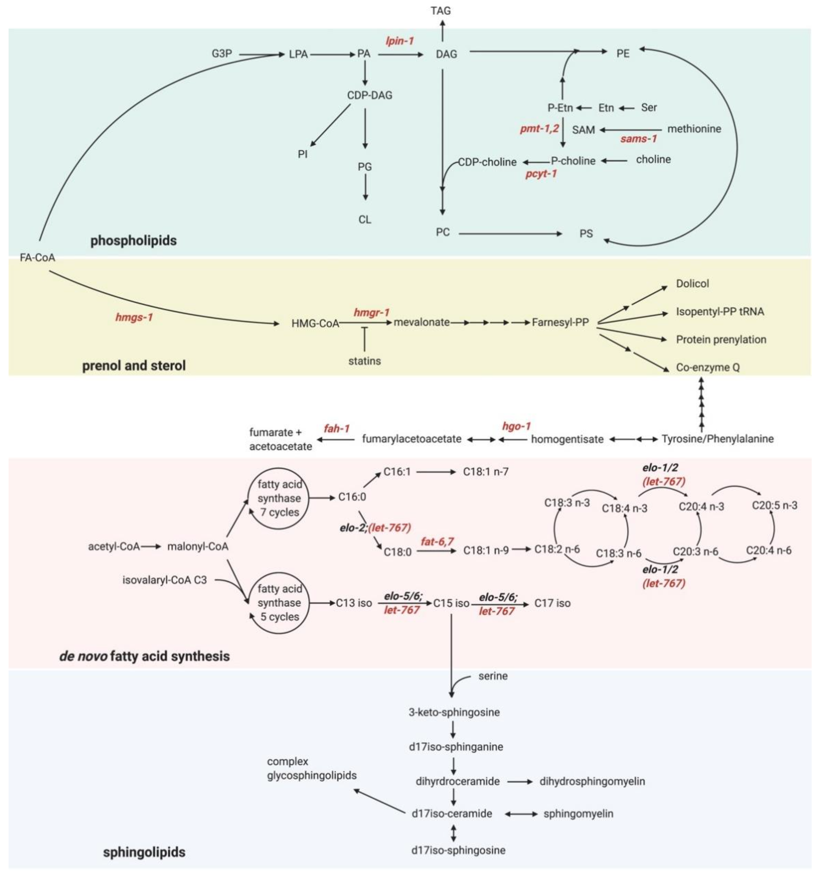 Metabolites 11 00052 g003
