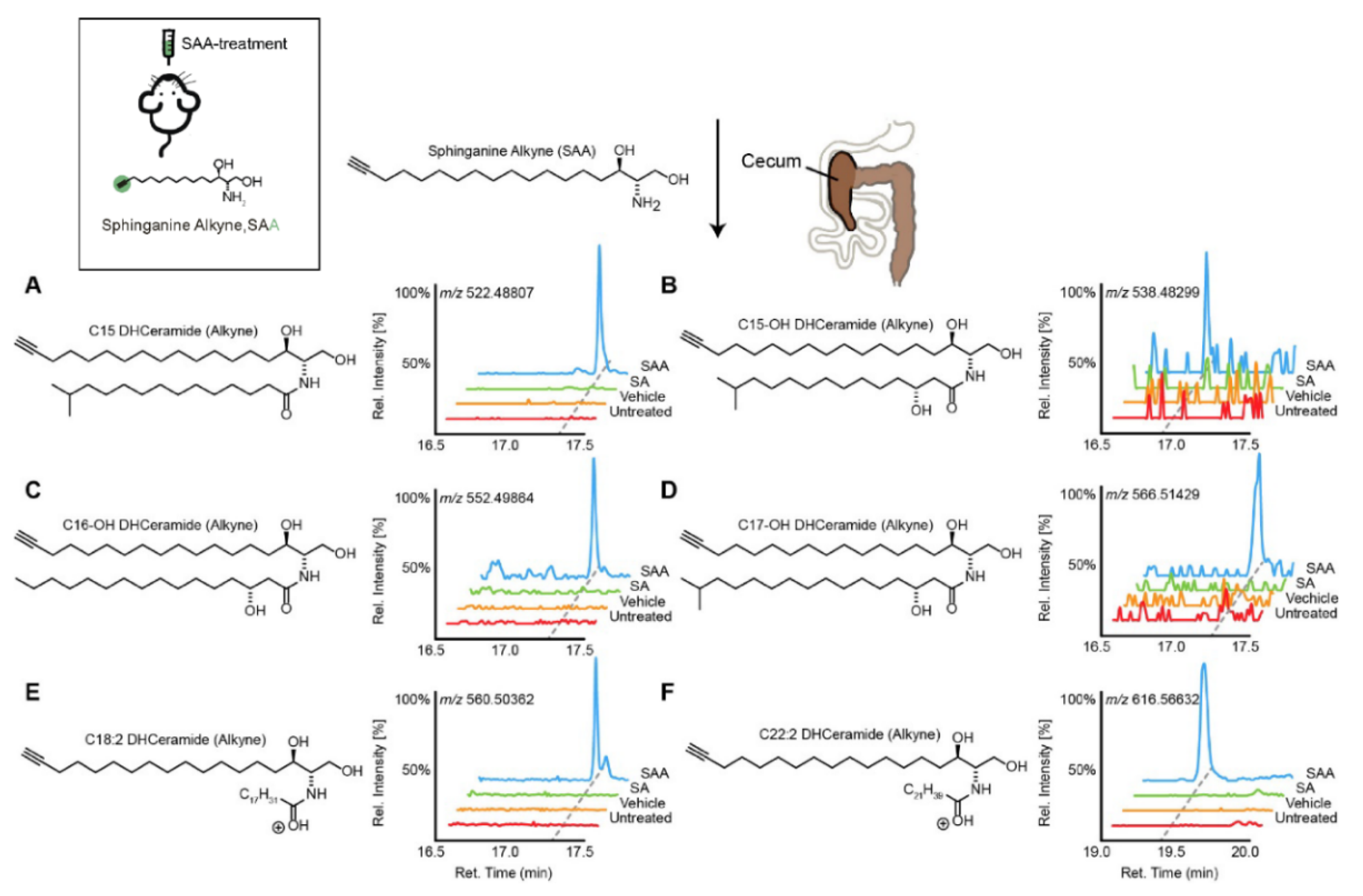 Metabolites 11 00055 g001
