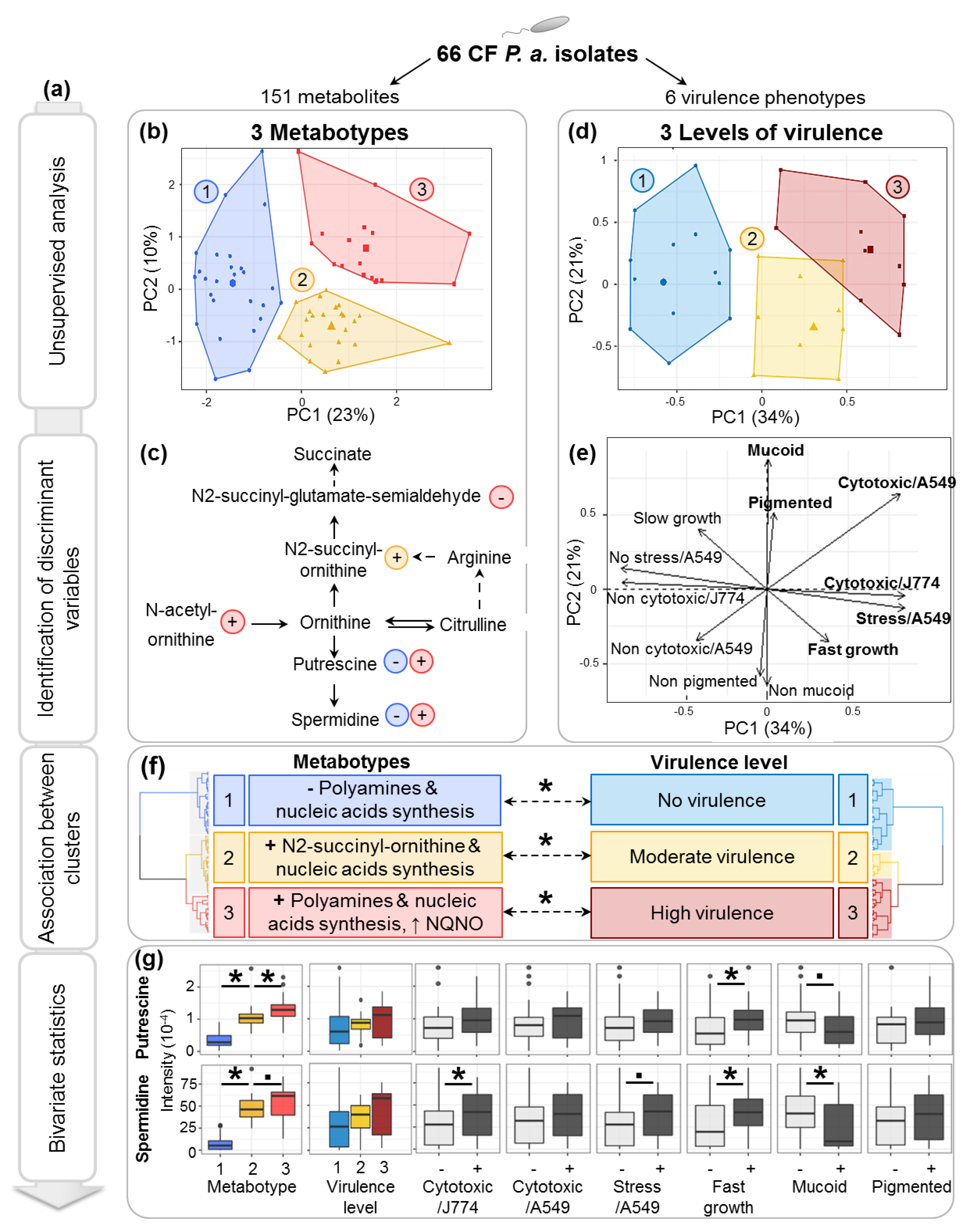 Metabolites 11 00063 g003 Metabolites 11 00063 g003