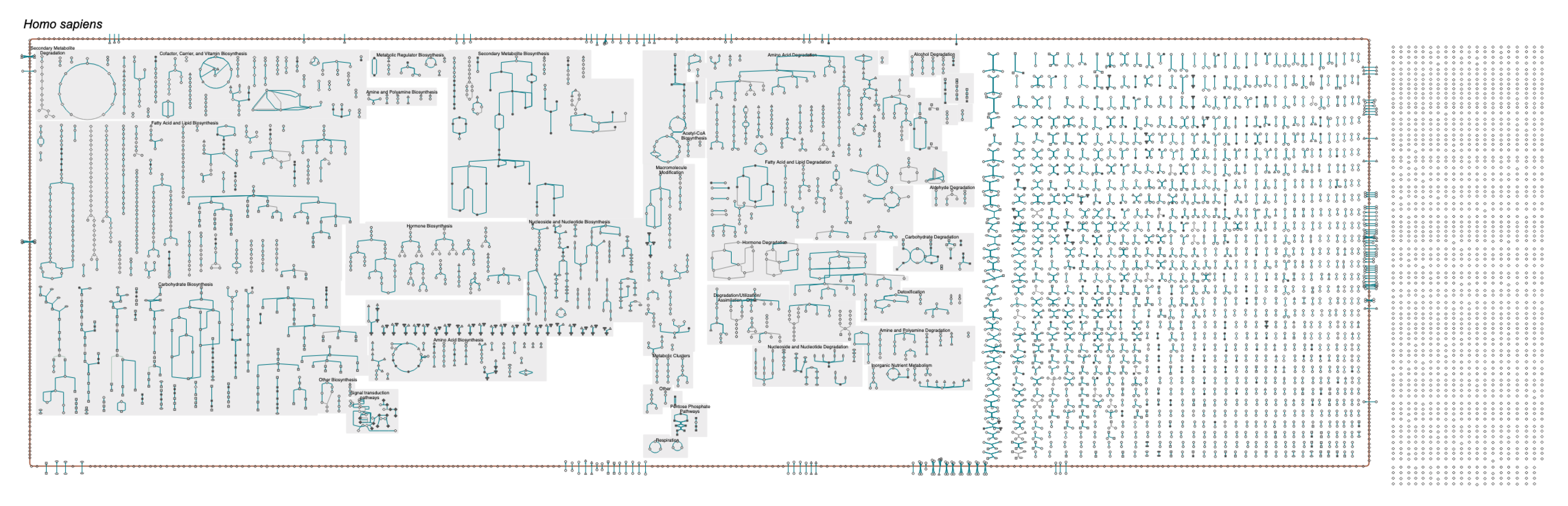 Metabolites 11 00064 g002