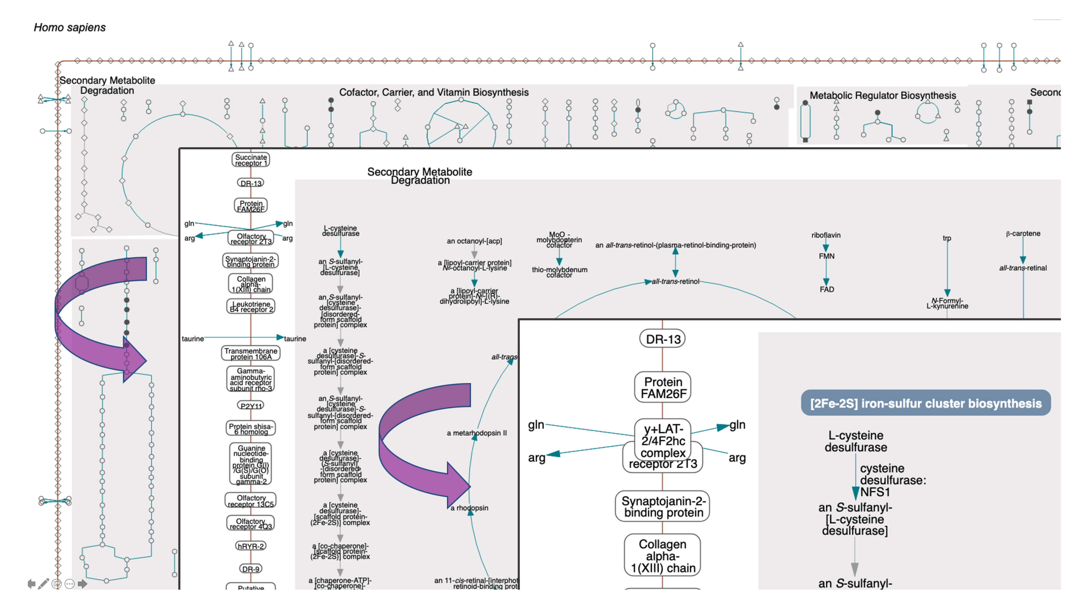 Metabolites 11 00064 g003