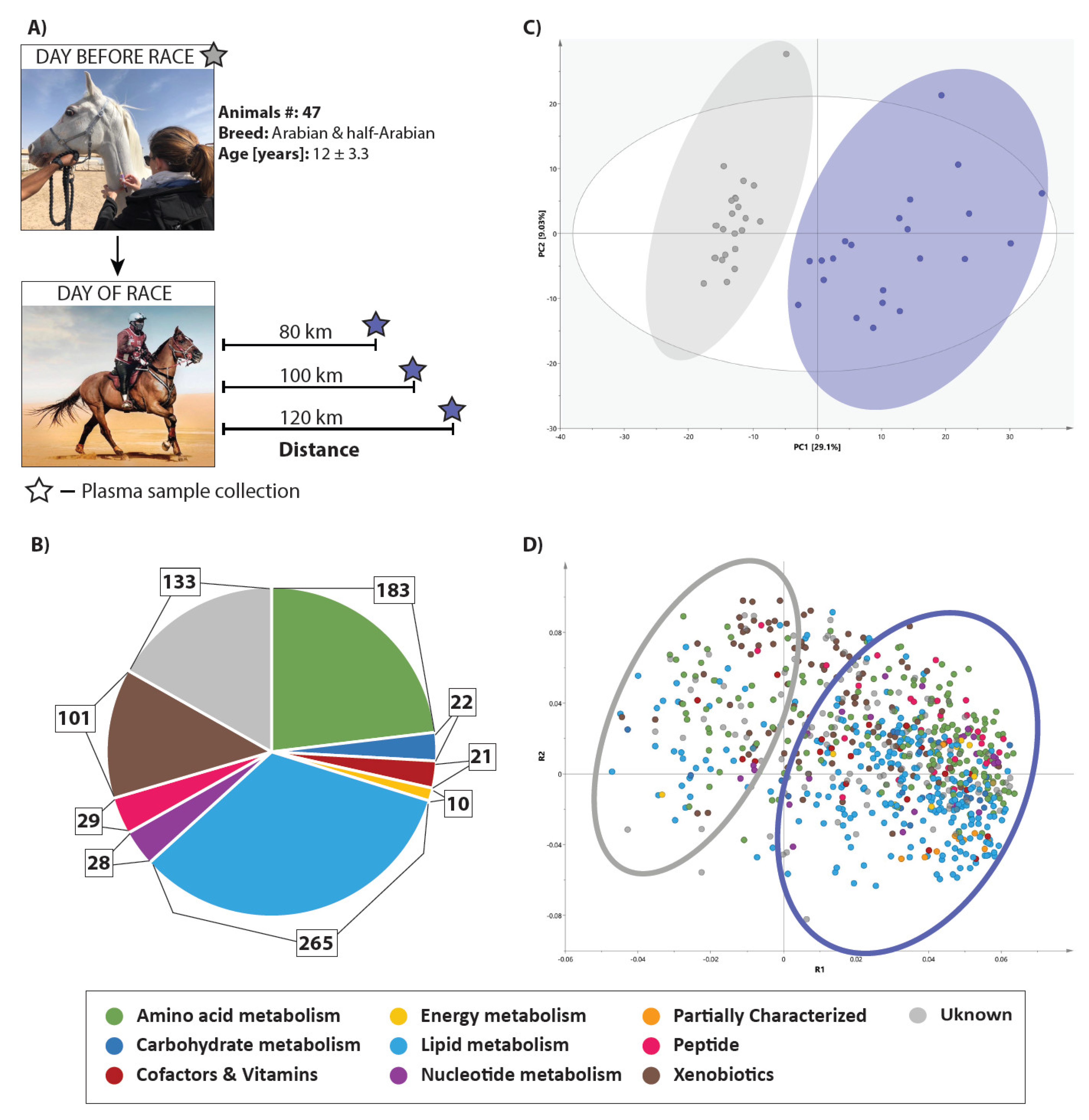Metabolites 11 00082 g001