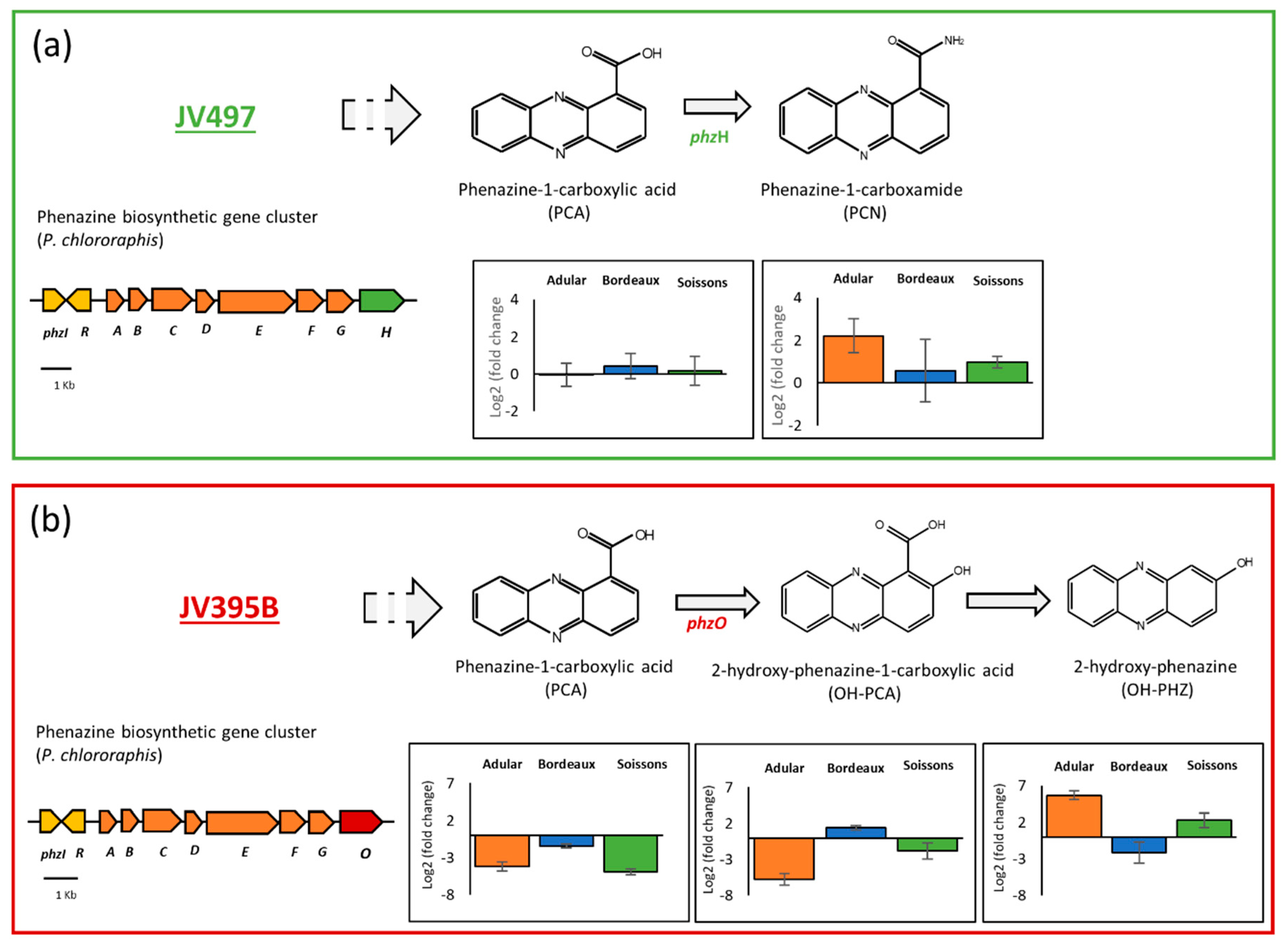 Metabolites 11 00084 g004 Metabolites 11 00084 g004