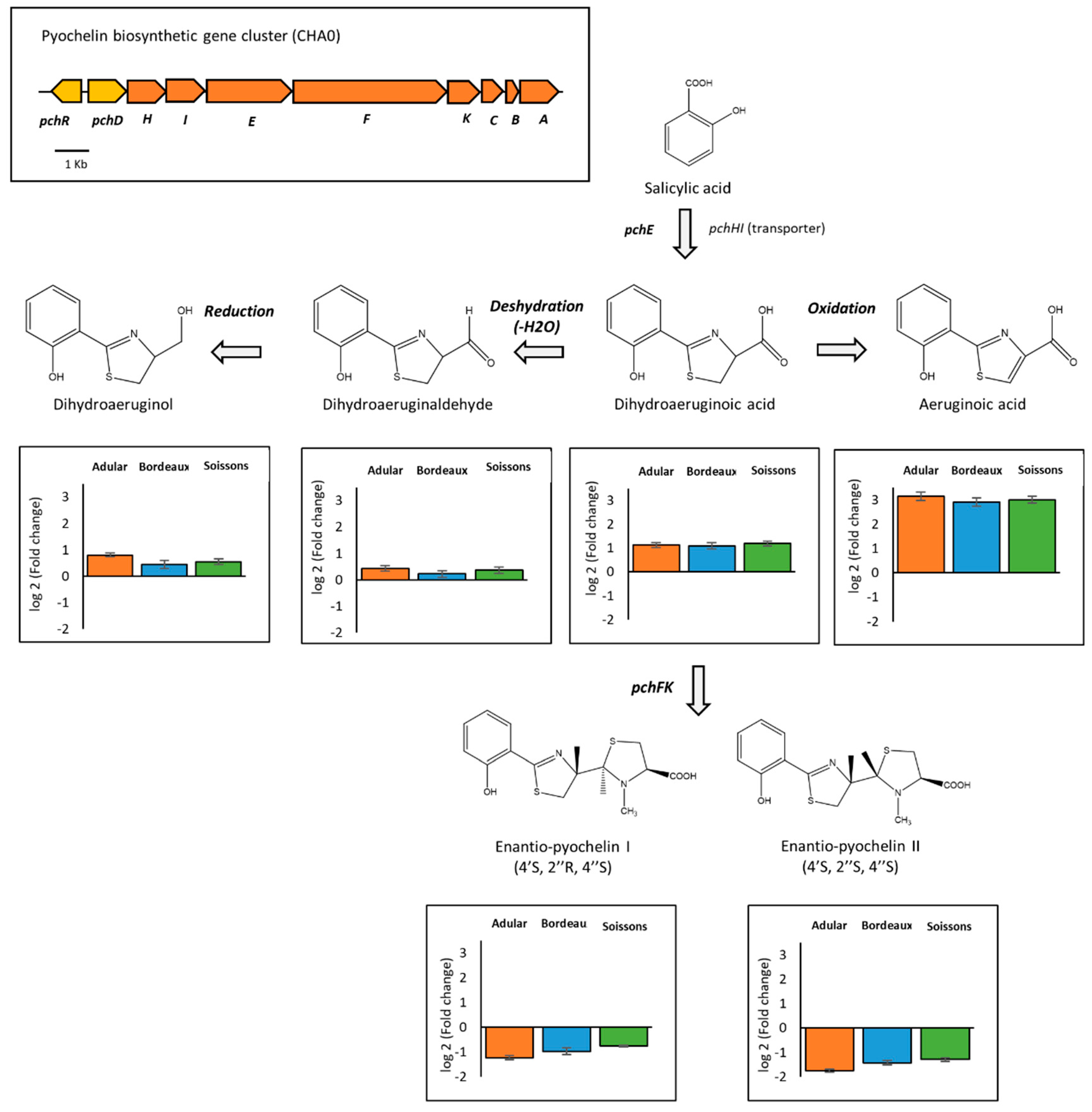 Metabolites 11 00084 g005 Metabolites 11 00084 g005