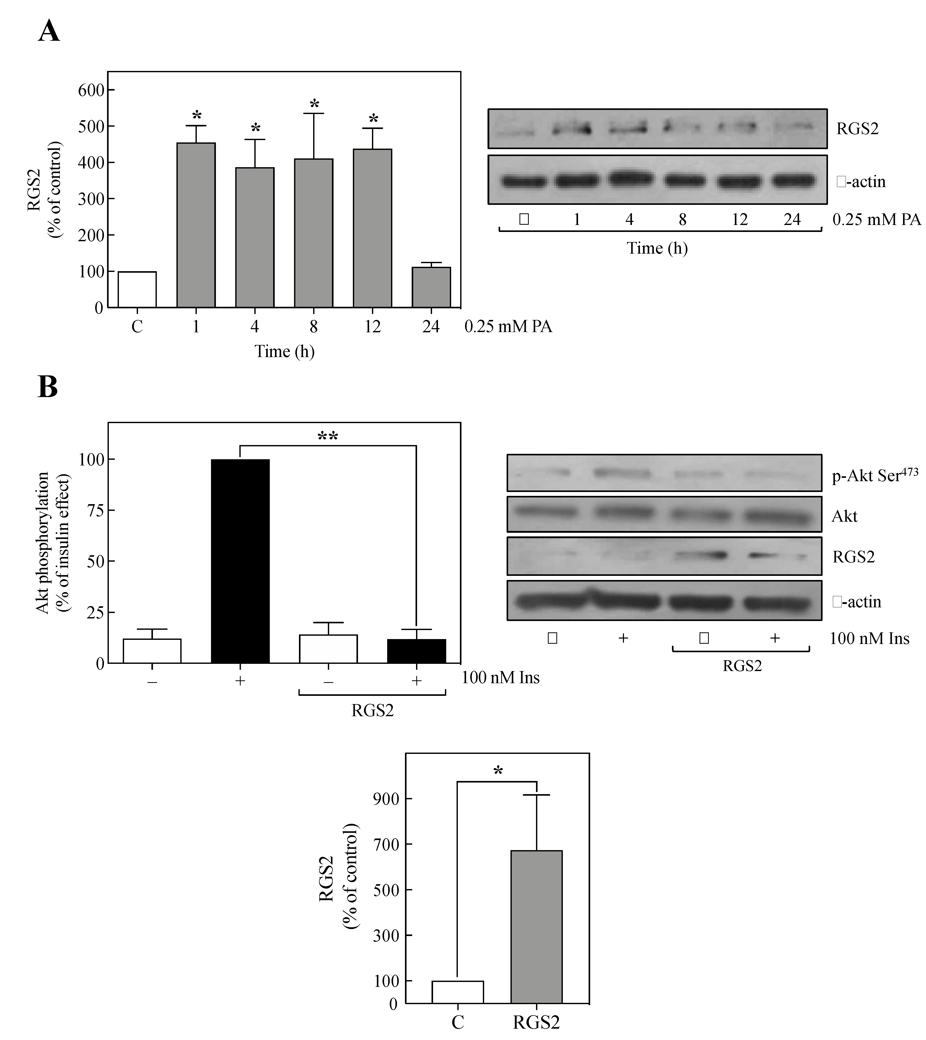 Metabolites 11 00091 g001