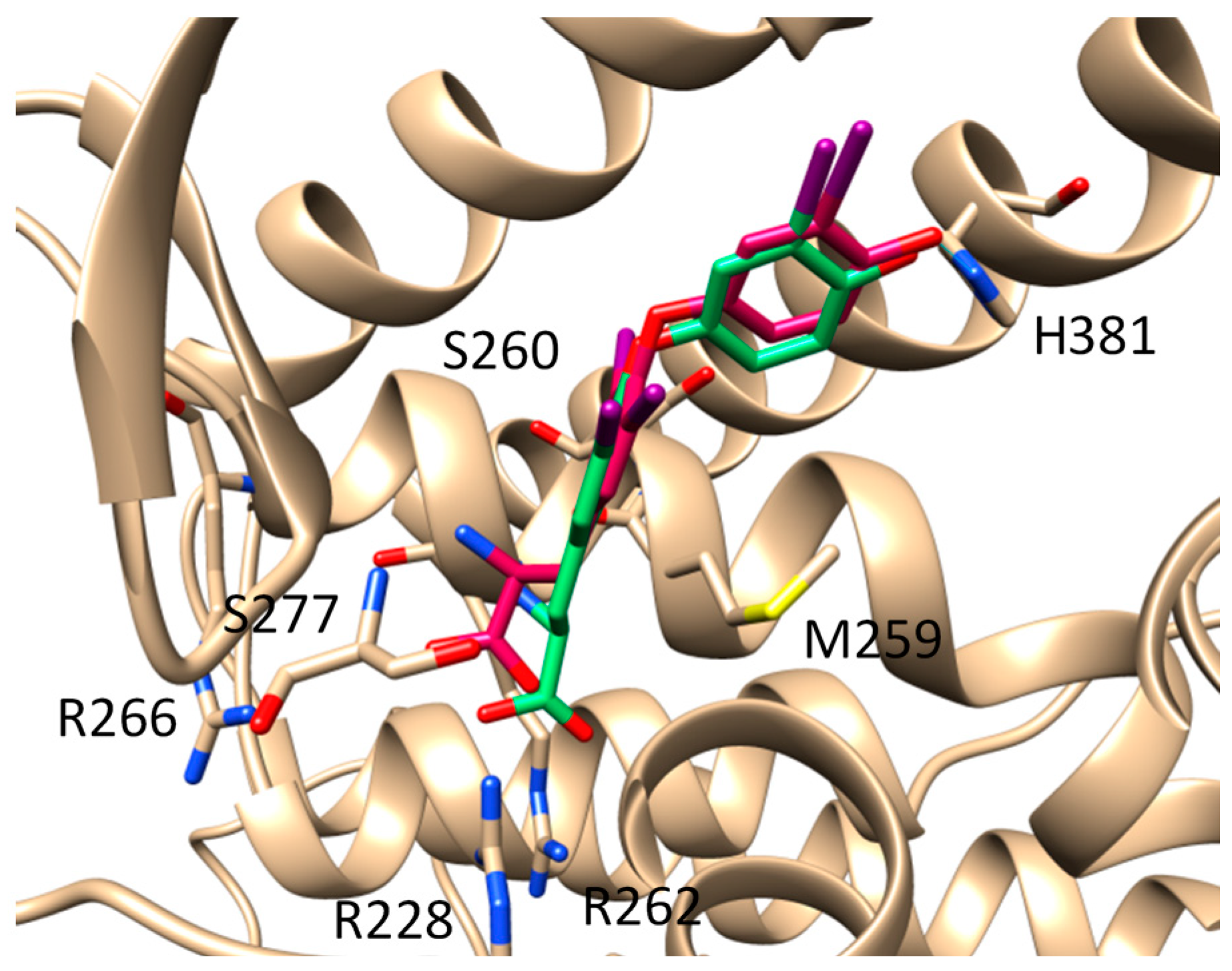Metabolites 11 00094 g002