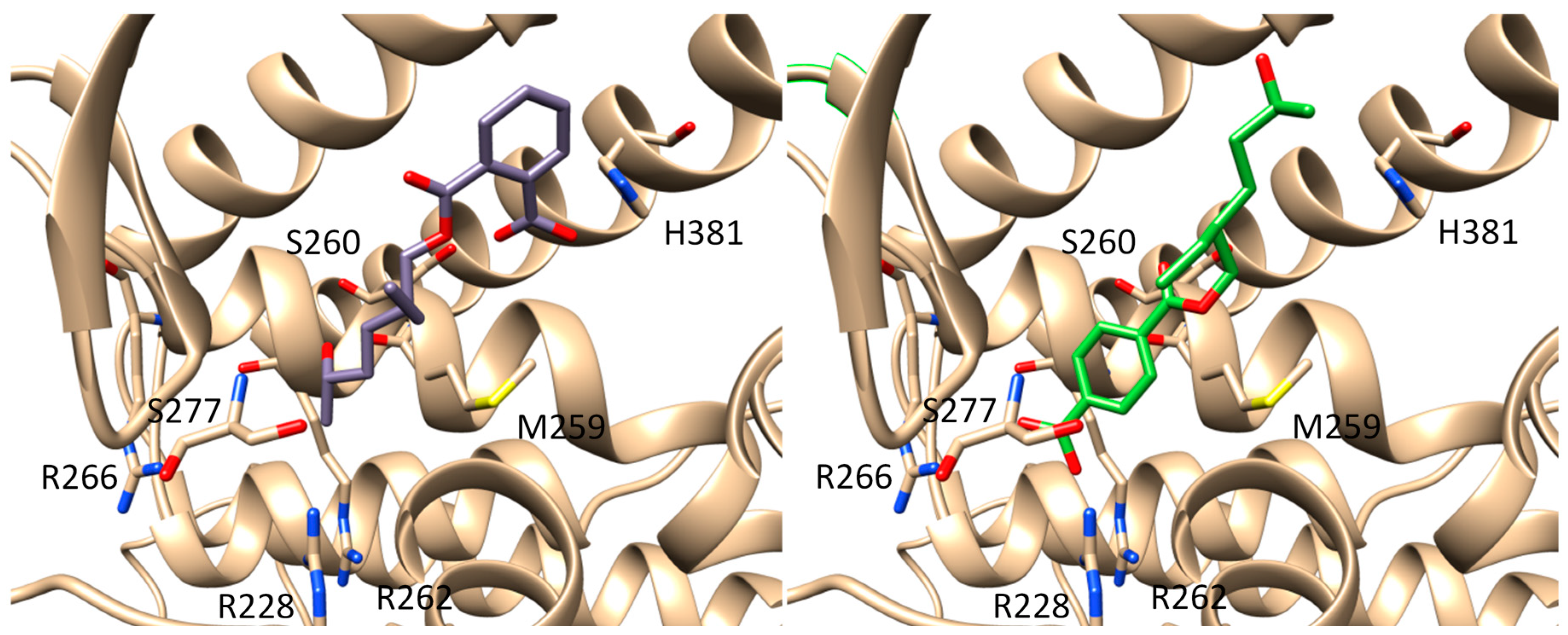 Metabolites 11 00094 g004