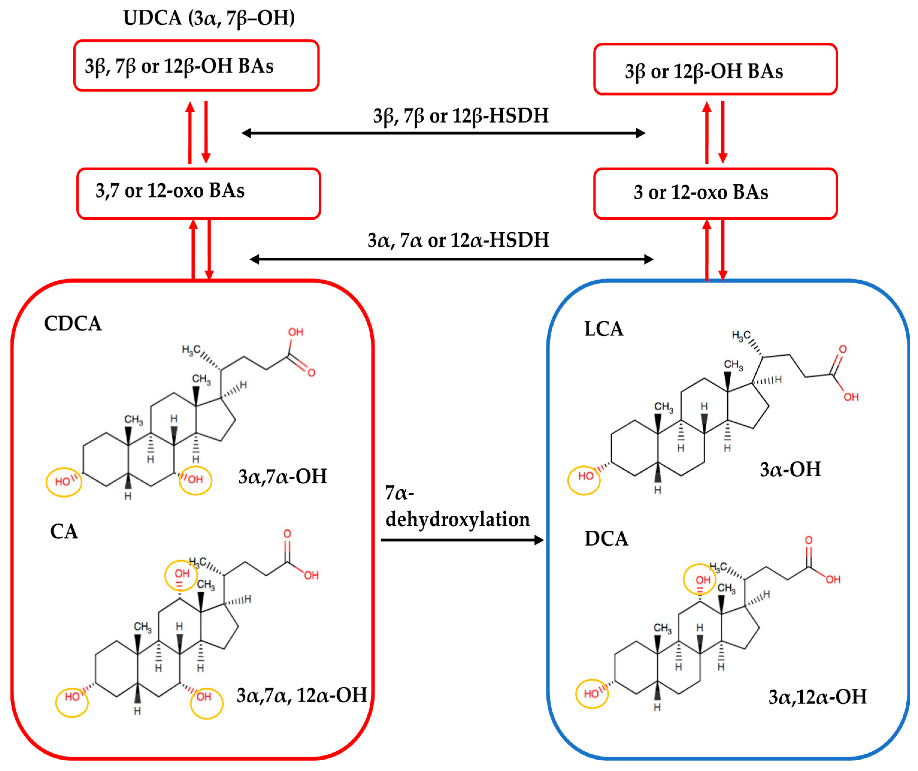 Metabolites 11 00099 g006