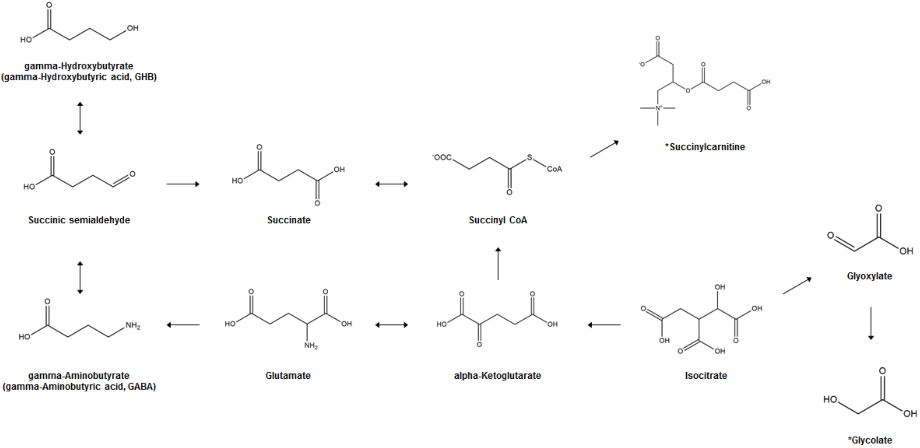 Metabolites 11 00101 g001