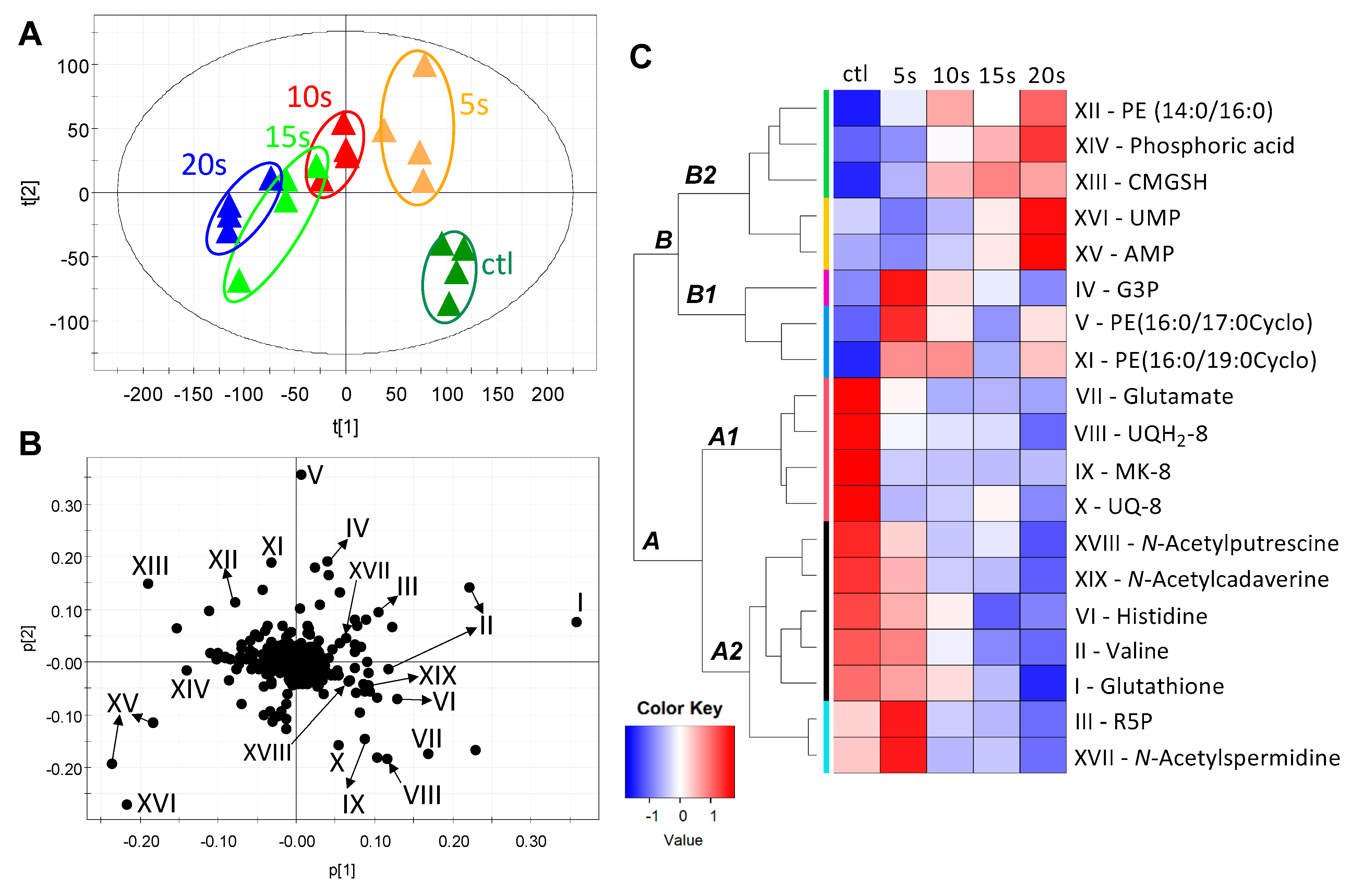 Metabolites 11 00102 g002