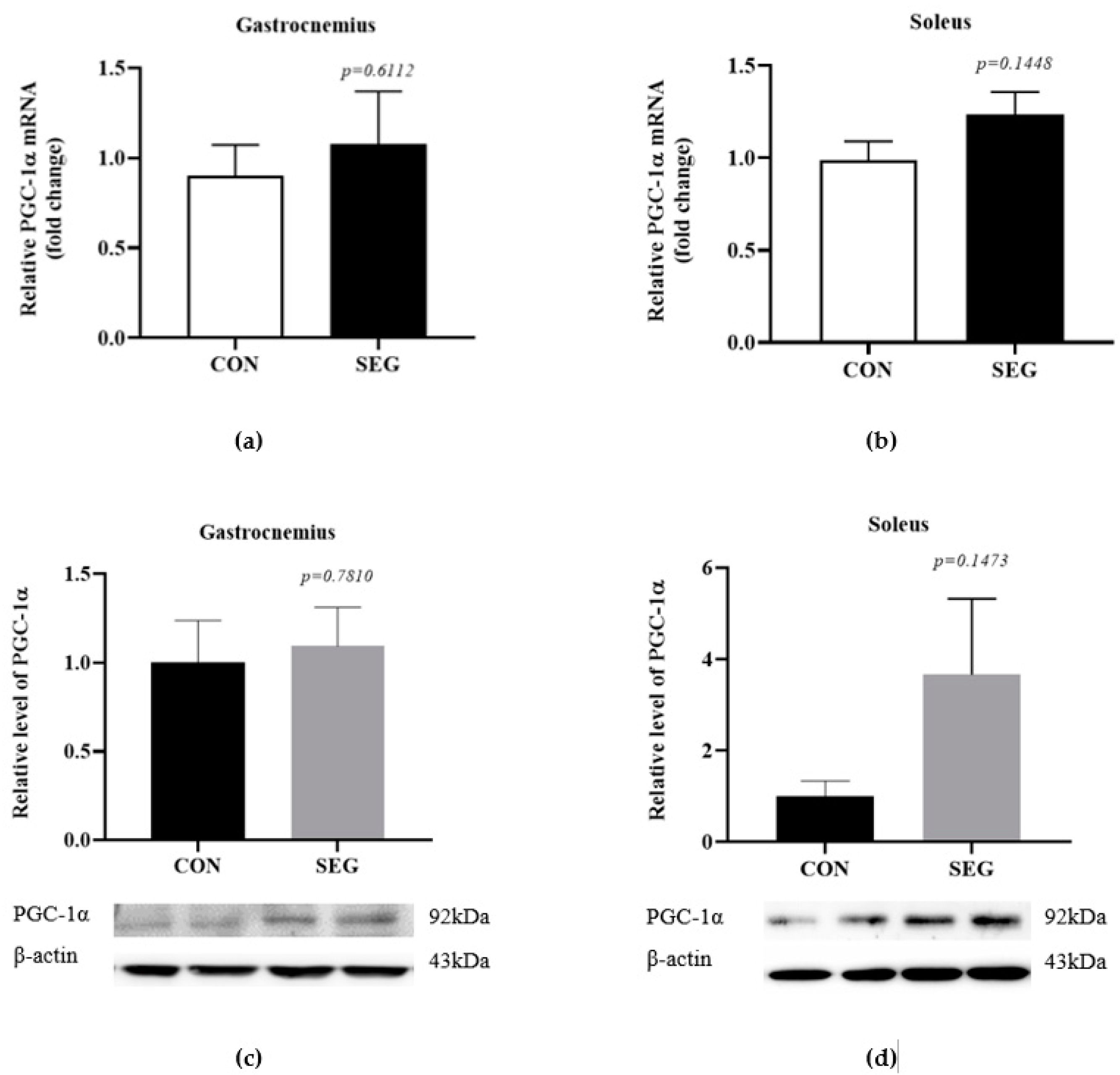 Metabolites 11 00111 g001 Metabolites 11 00111 g001