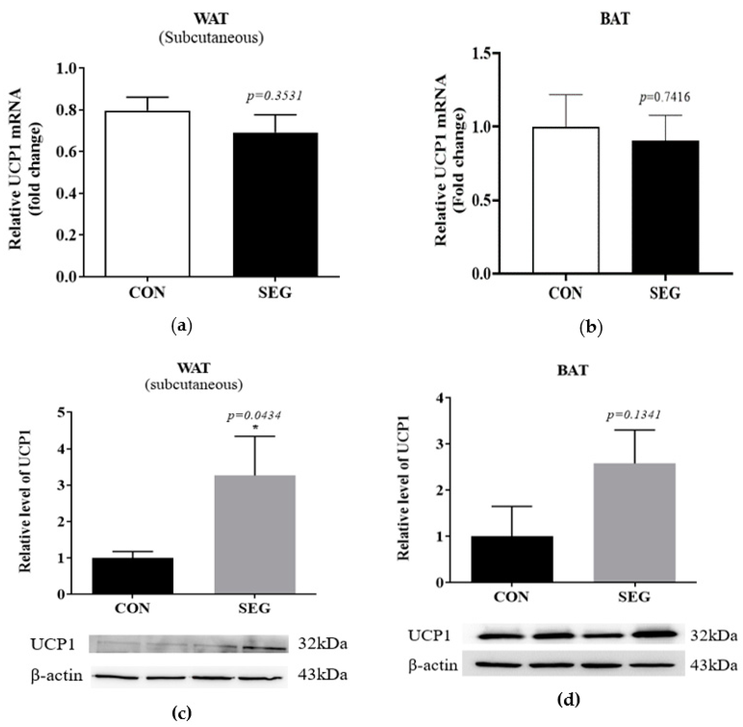 Metabolites 11 00111 g004 Metabolites 11 00111 g004