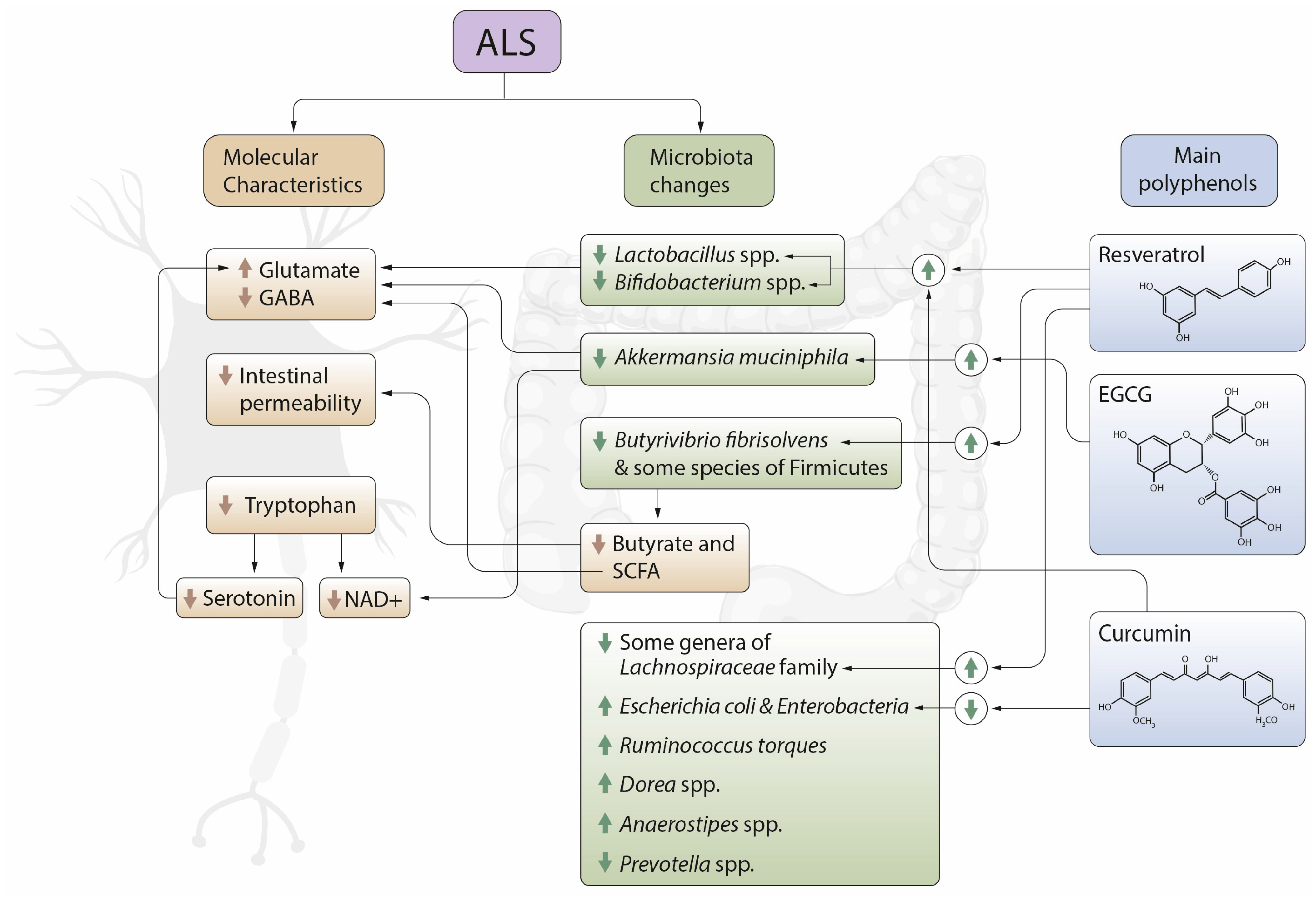 Metabolites 11 00120 g002