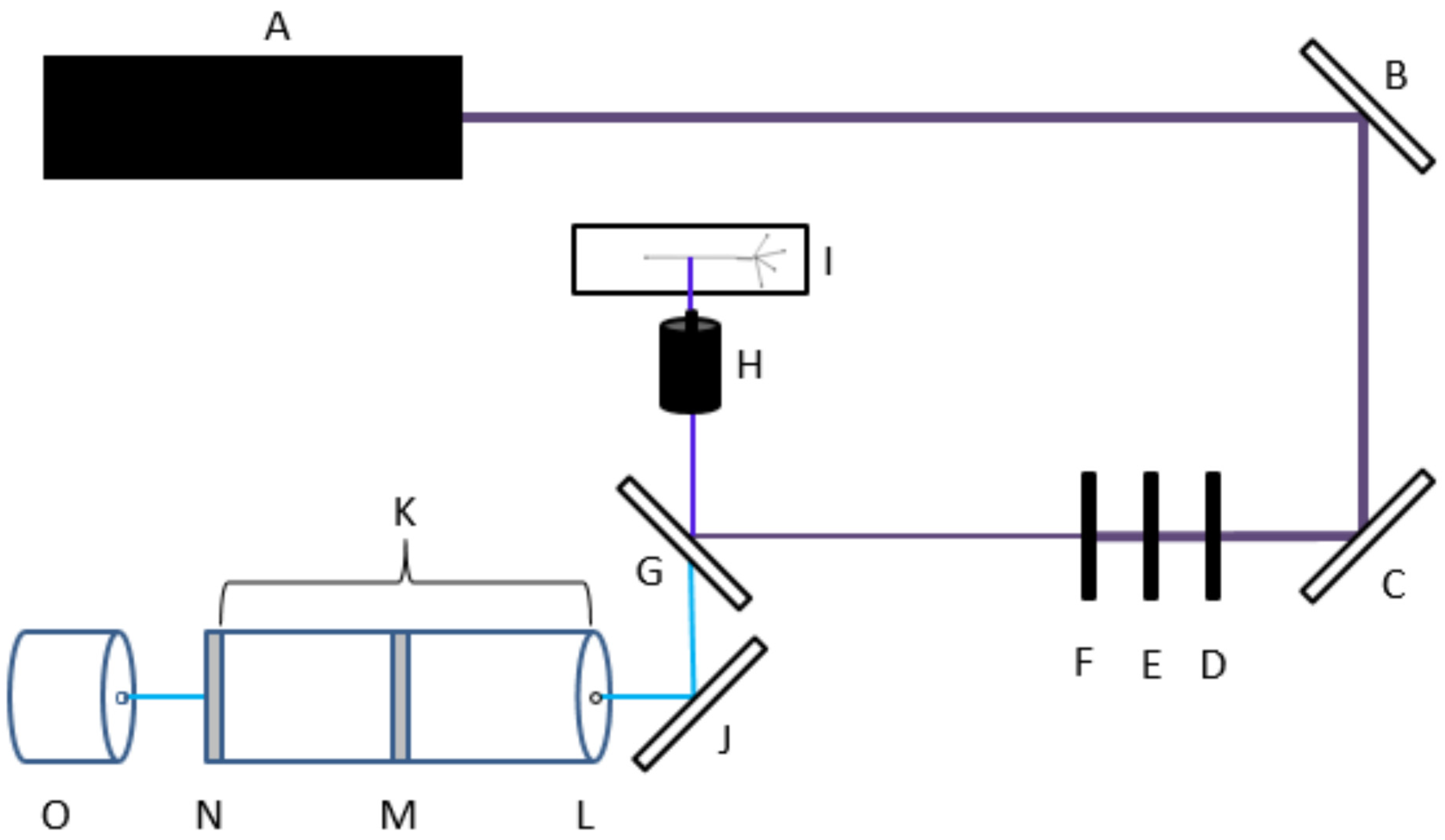 Metabolites 11 00130 g005
