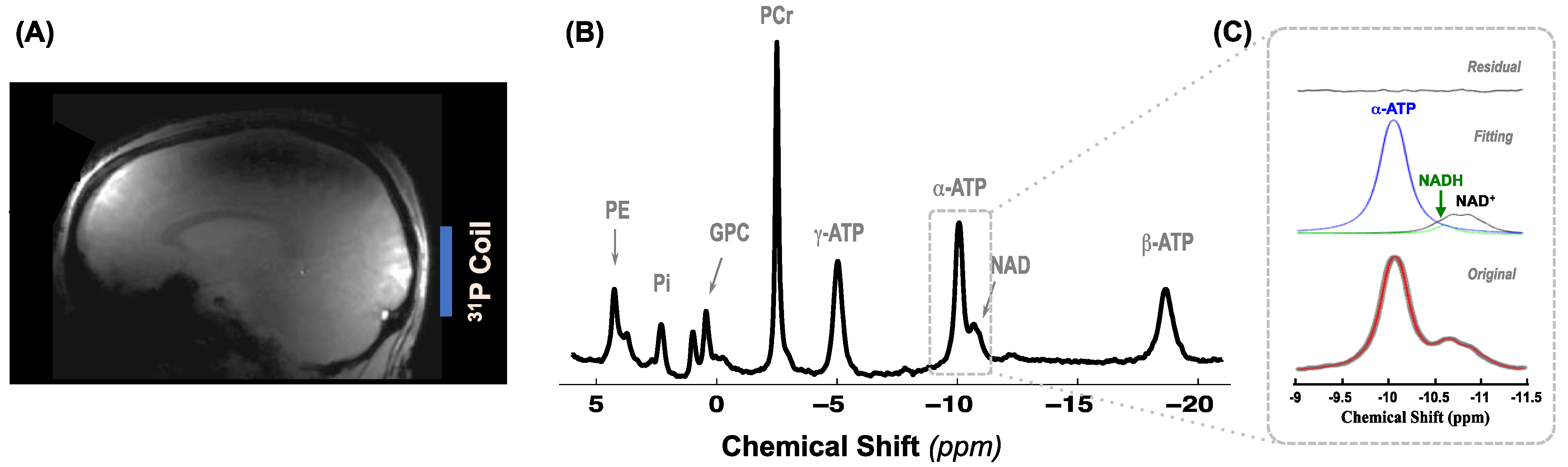 Metabolites 11 00145 g001