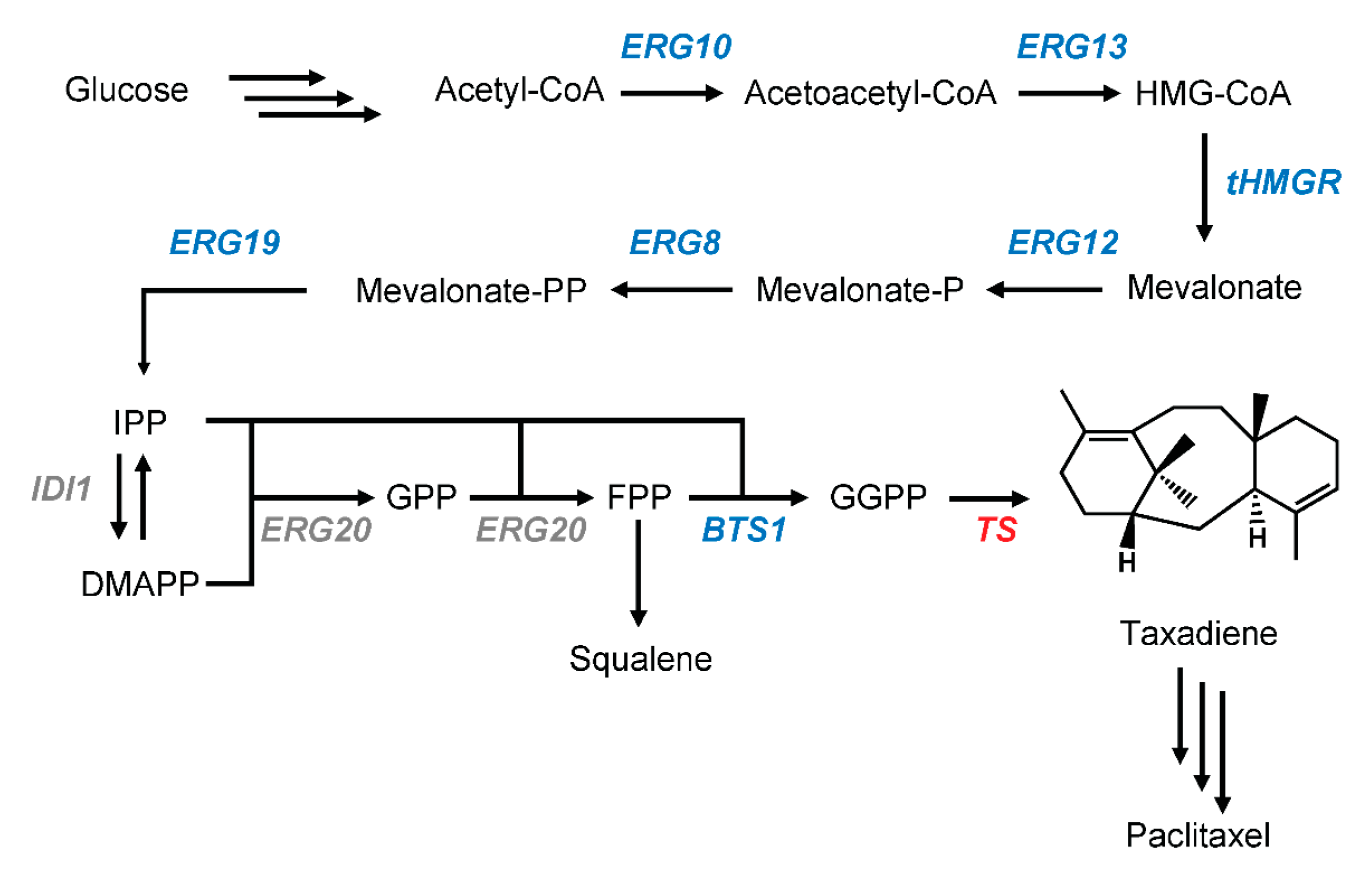 Metabolites 11 00147 g001 Metabolites 11 00147 g001