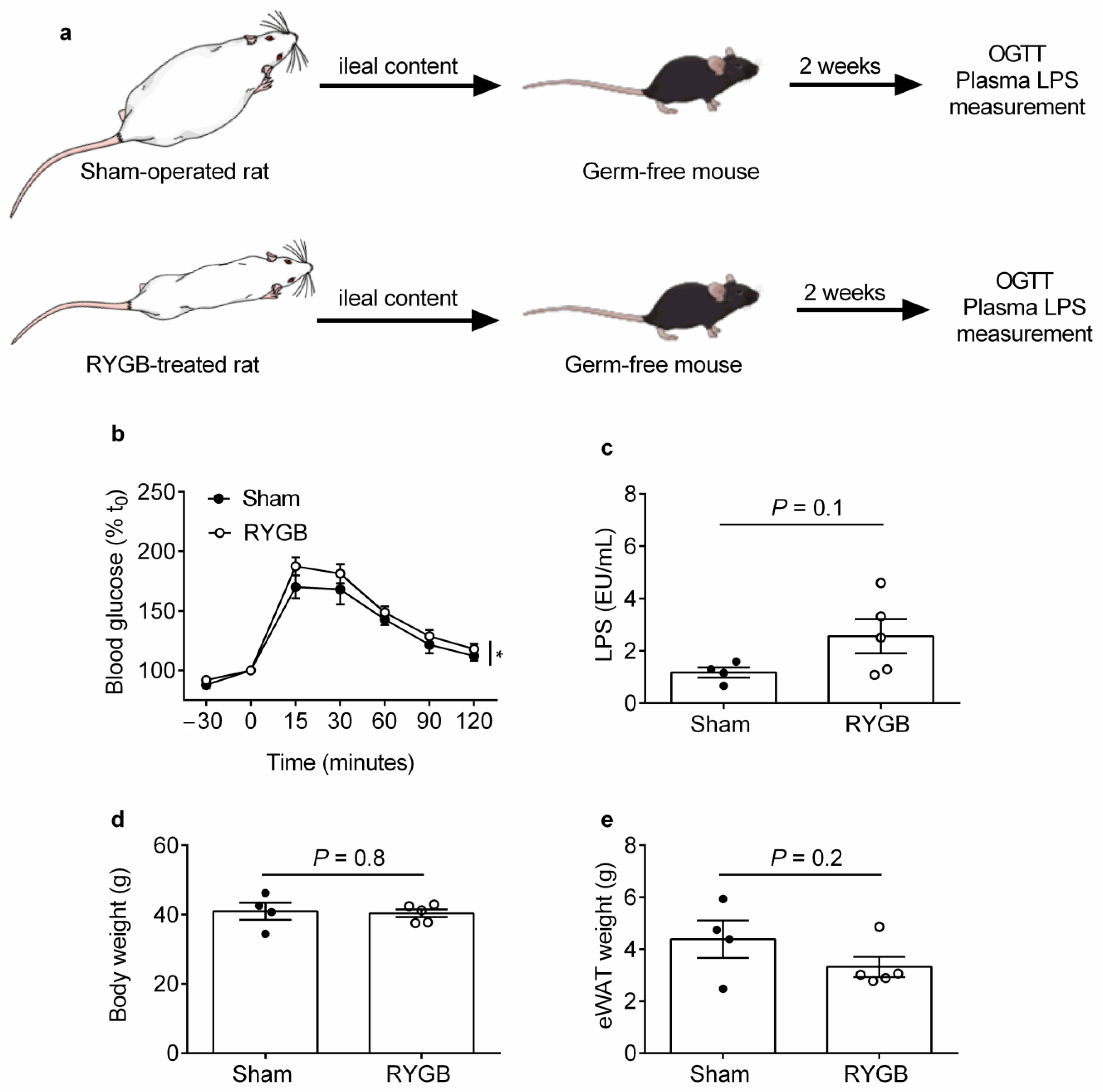 Metabolites 11 00153 g001