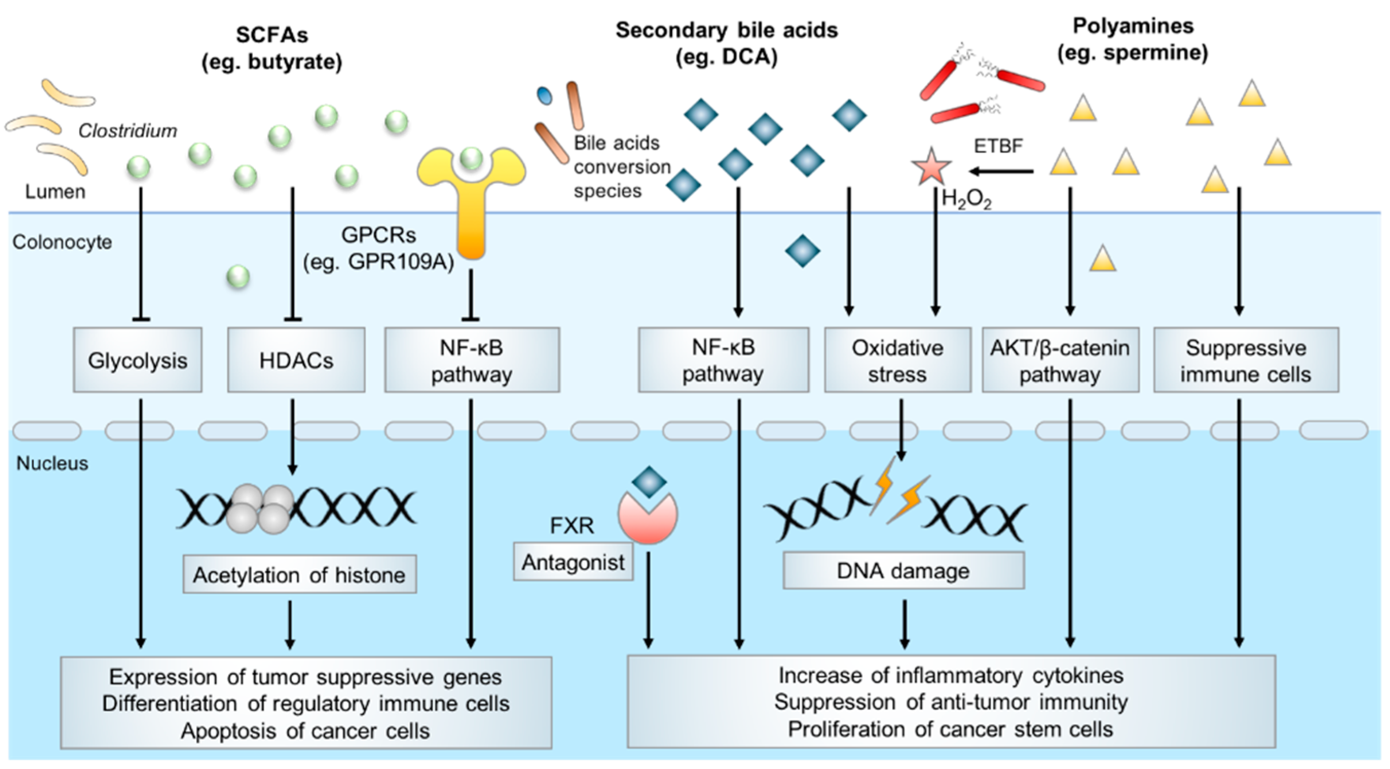 Metabolites 11 00159 g001