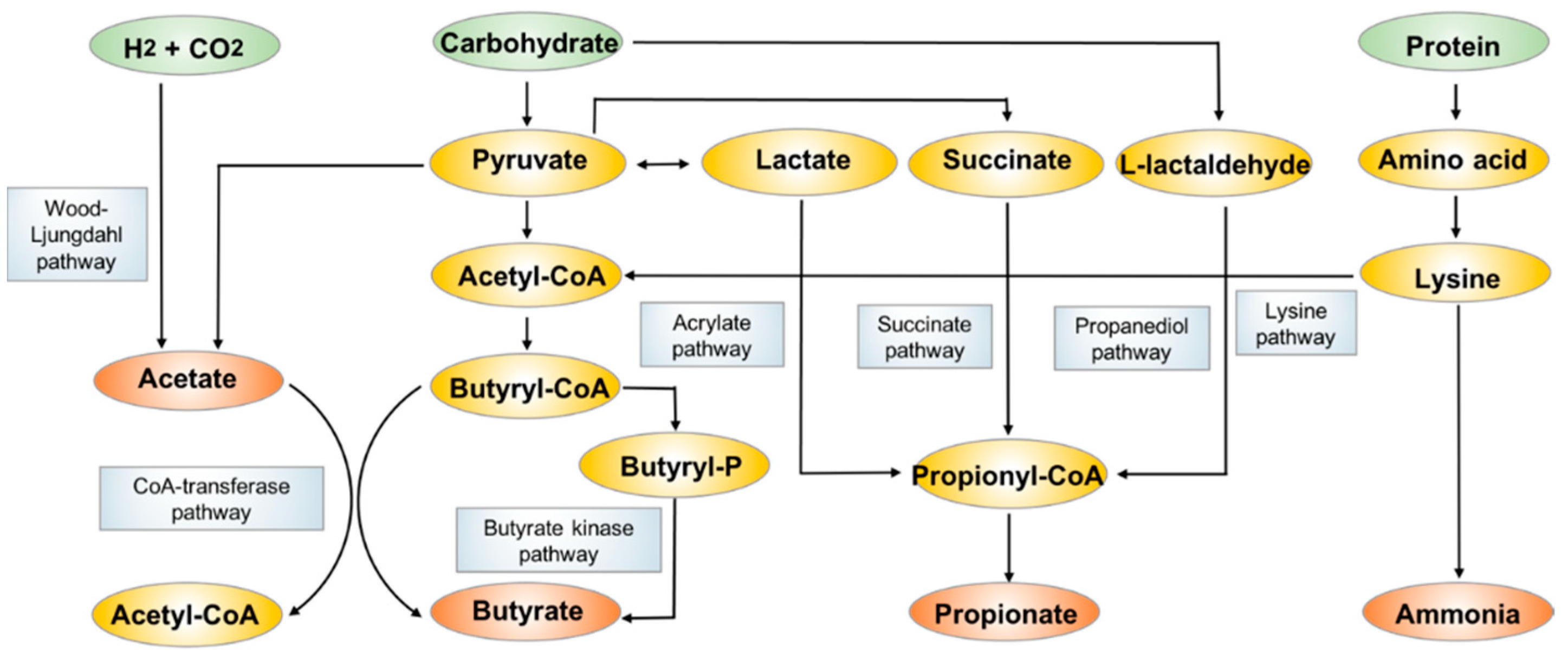 Metabolites 11 00159 g002