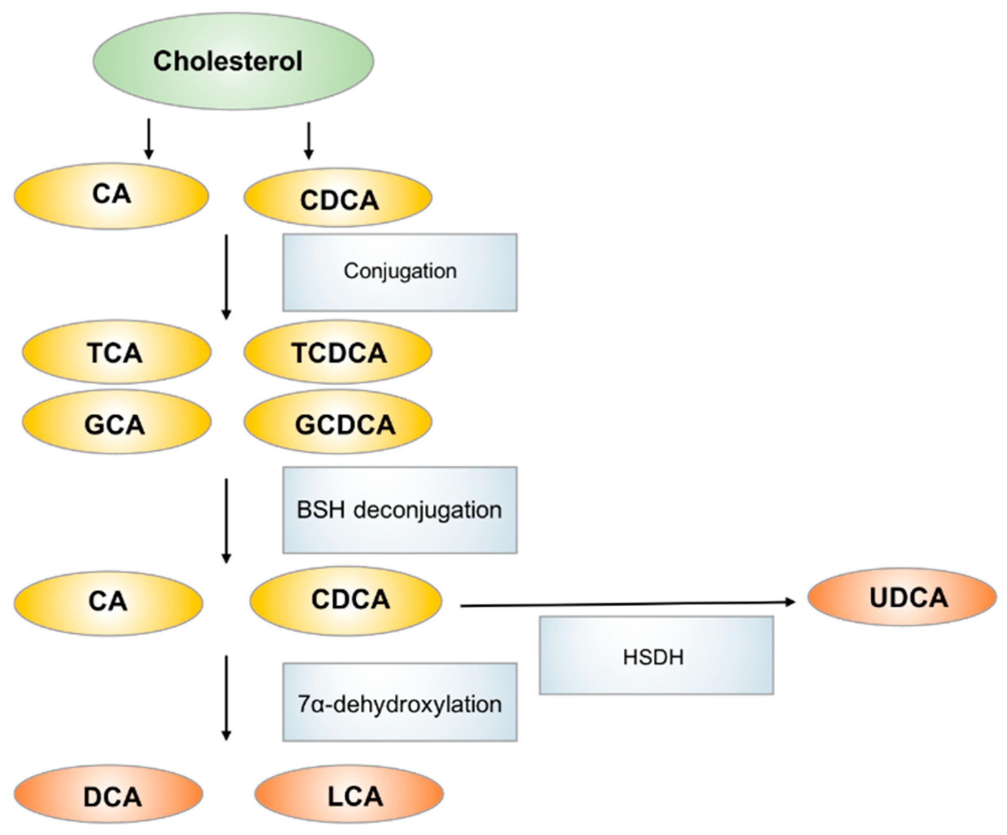Metabolites 11 00159 g003
