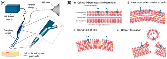 Metabolites 11 00171 g002