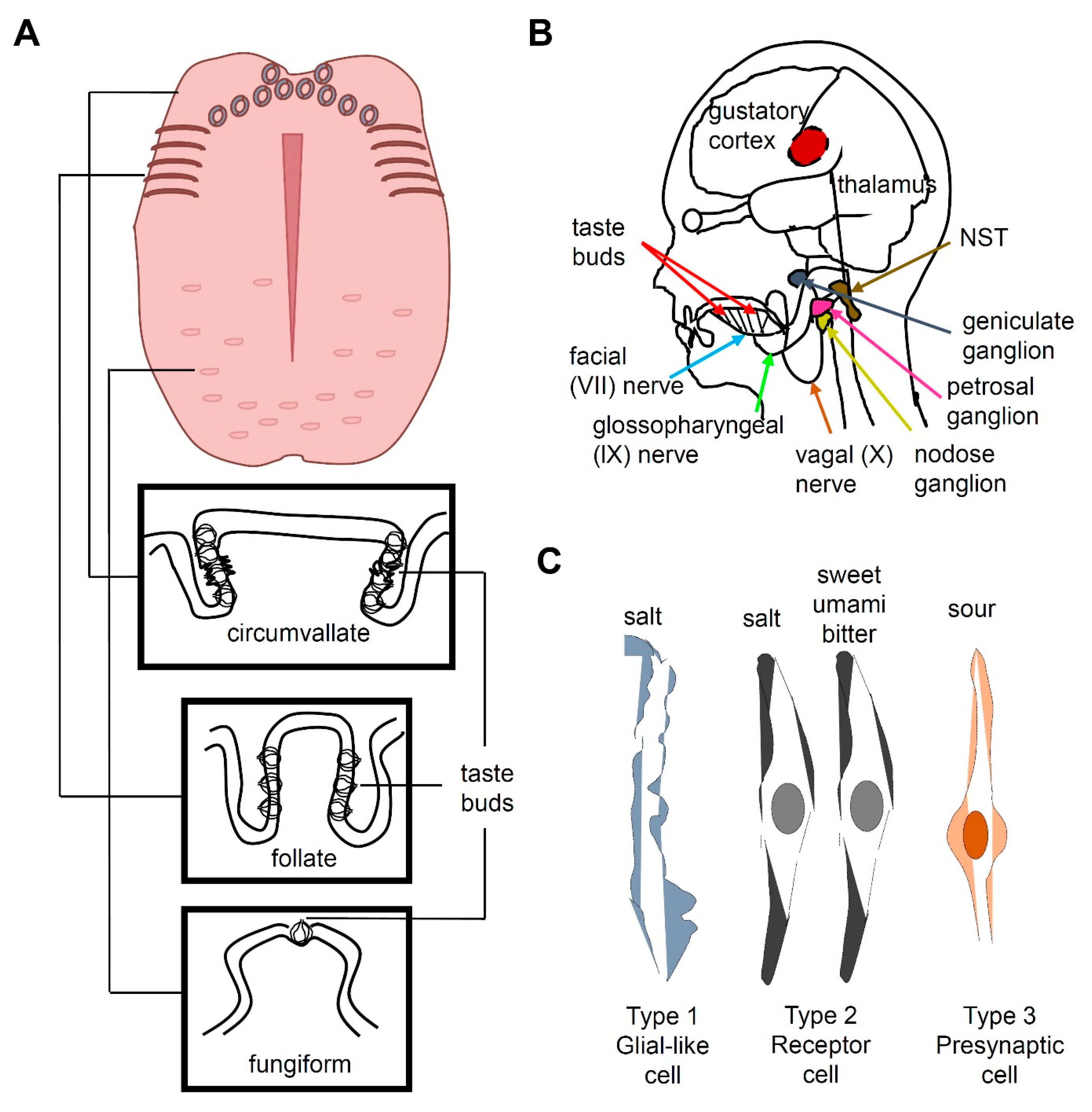 Metabolites 11 00175 g001