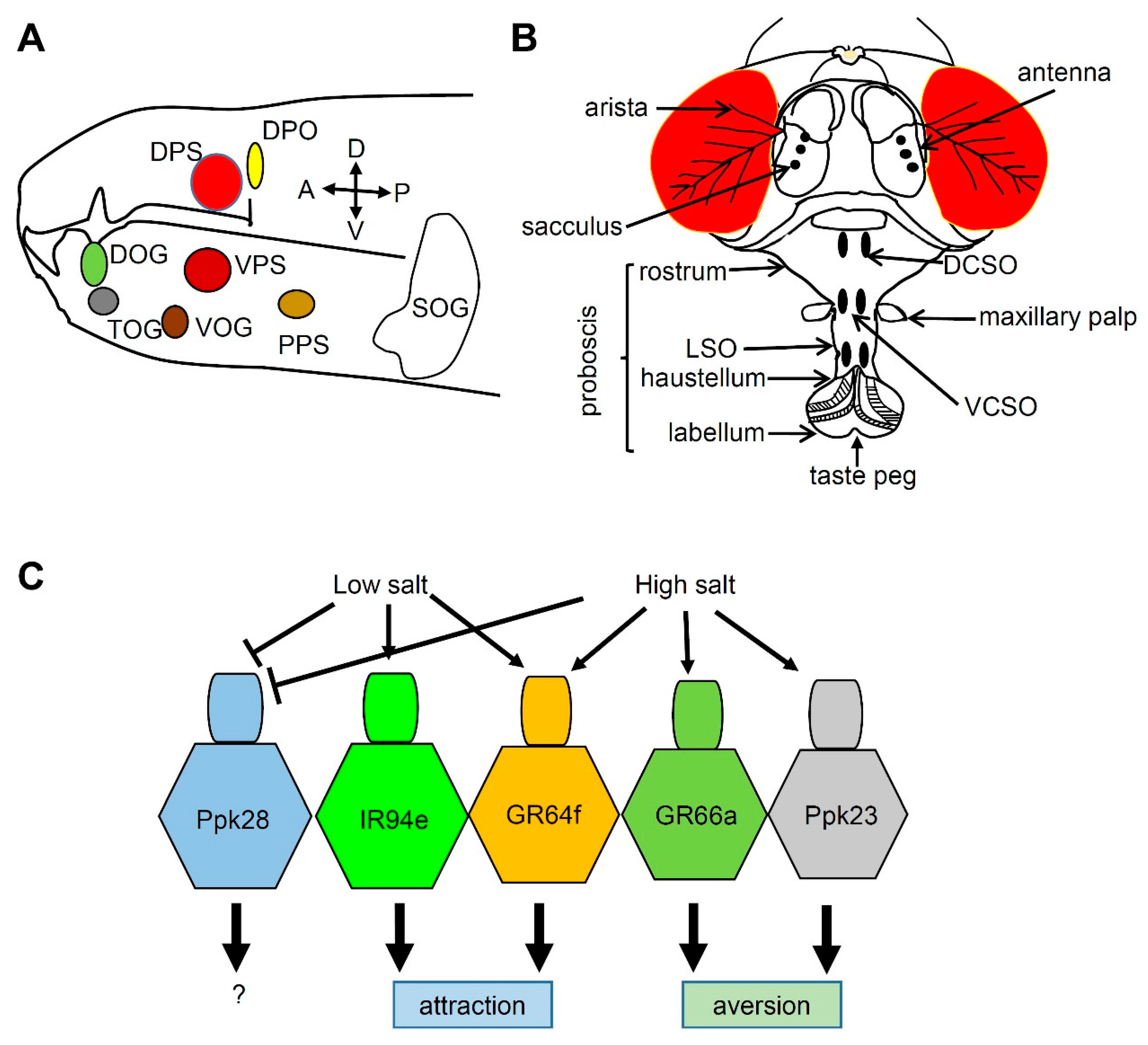 Metabolites 11 00175 g002