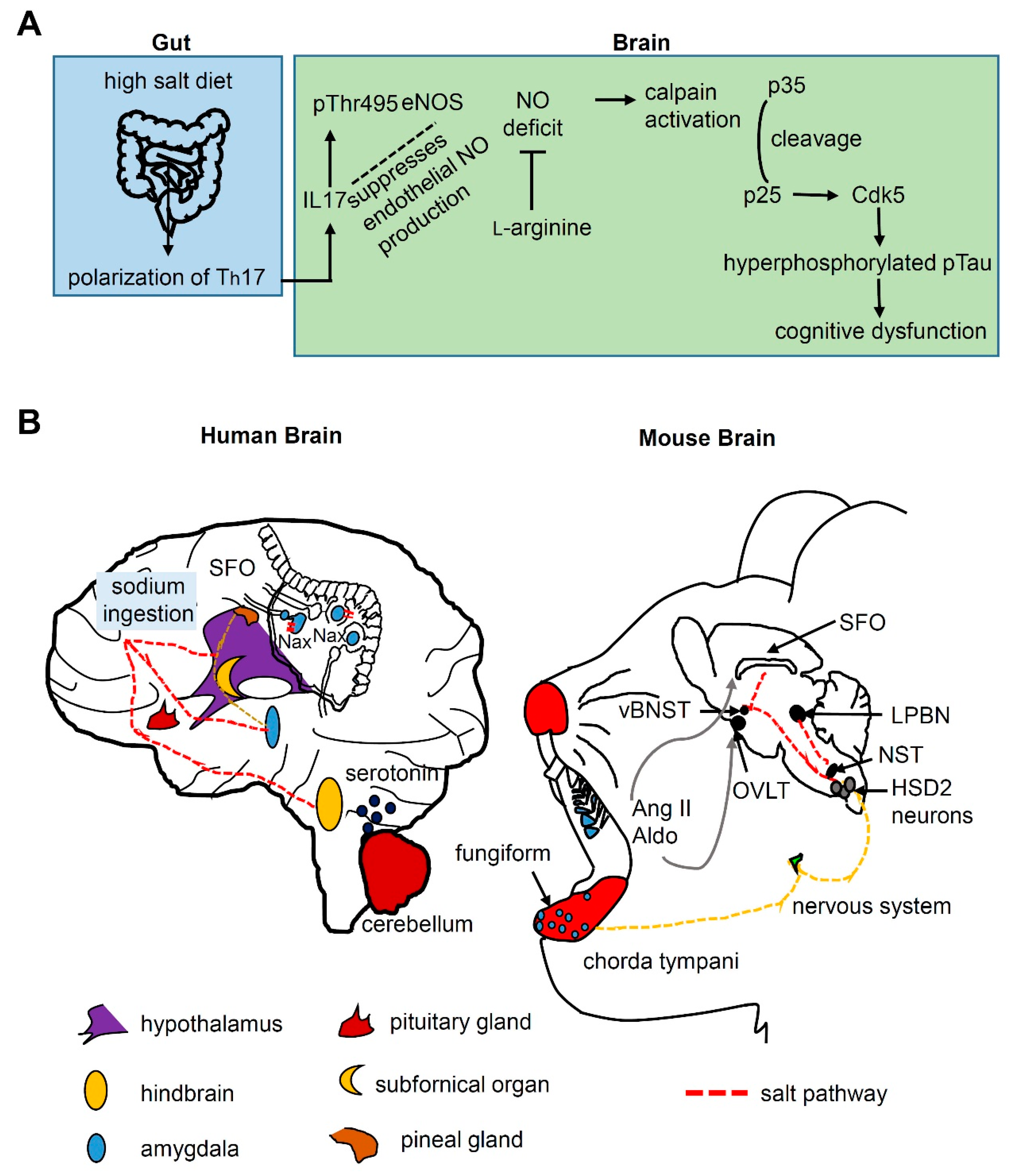 Metabolites 11 00175 g003