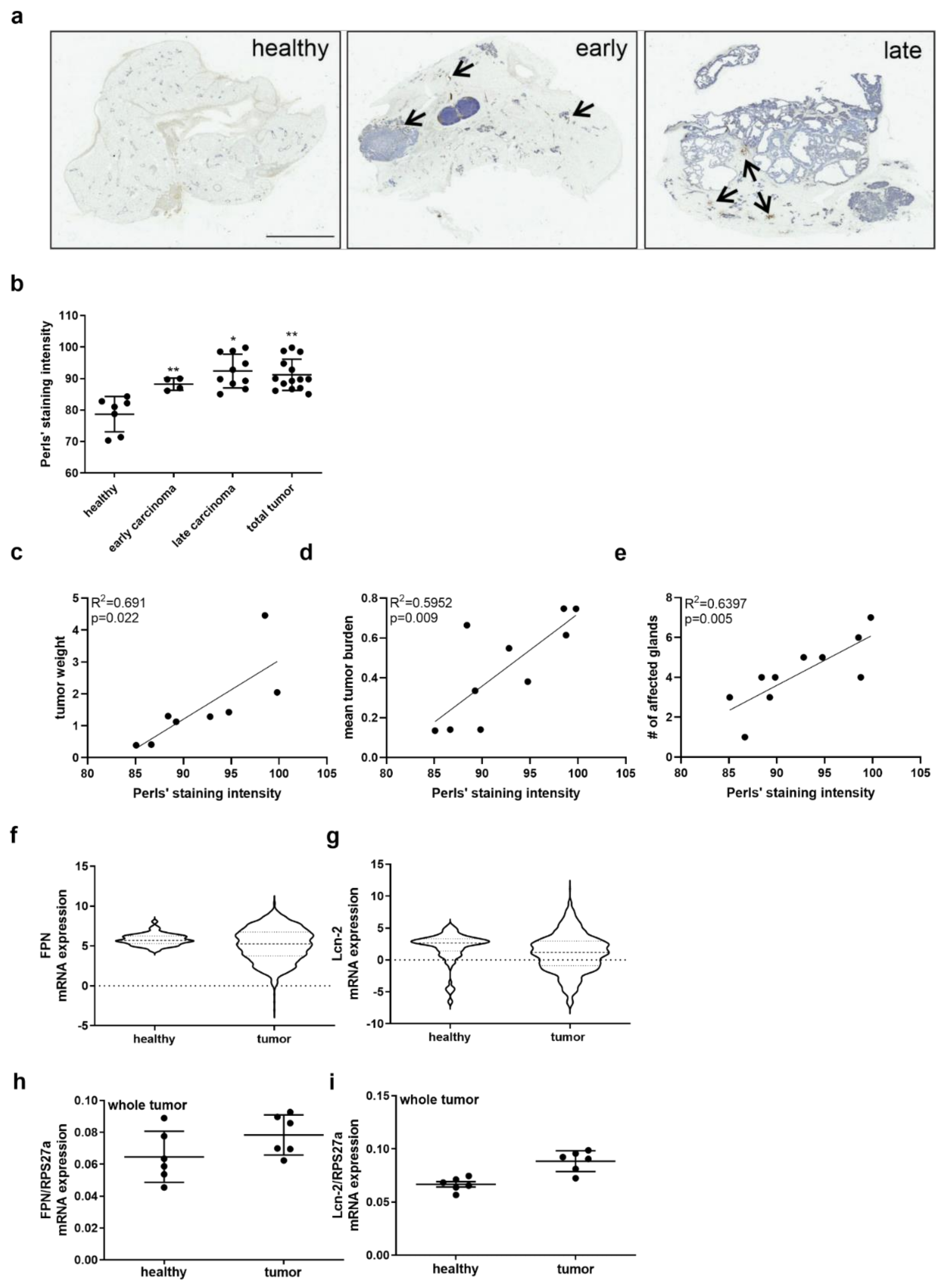 Metabolites 11 00180 g001