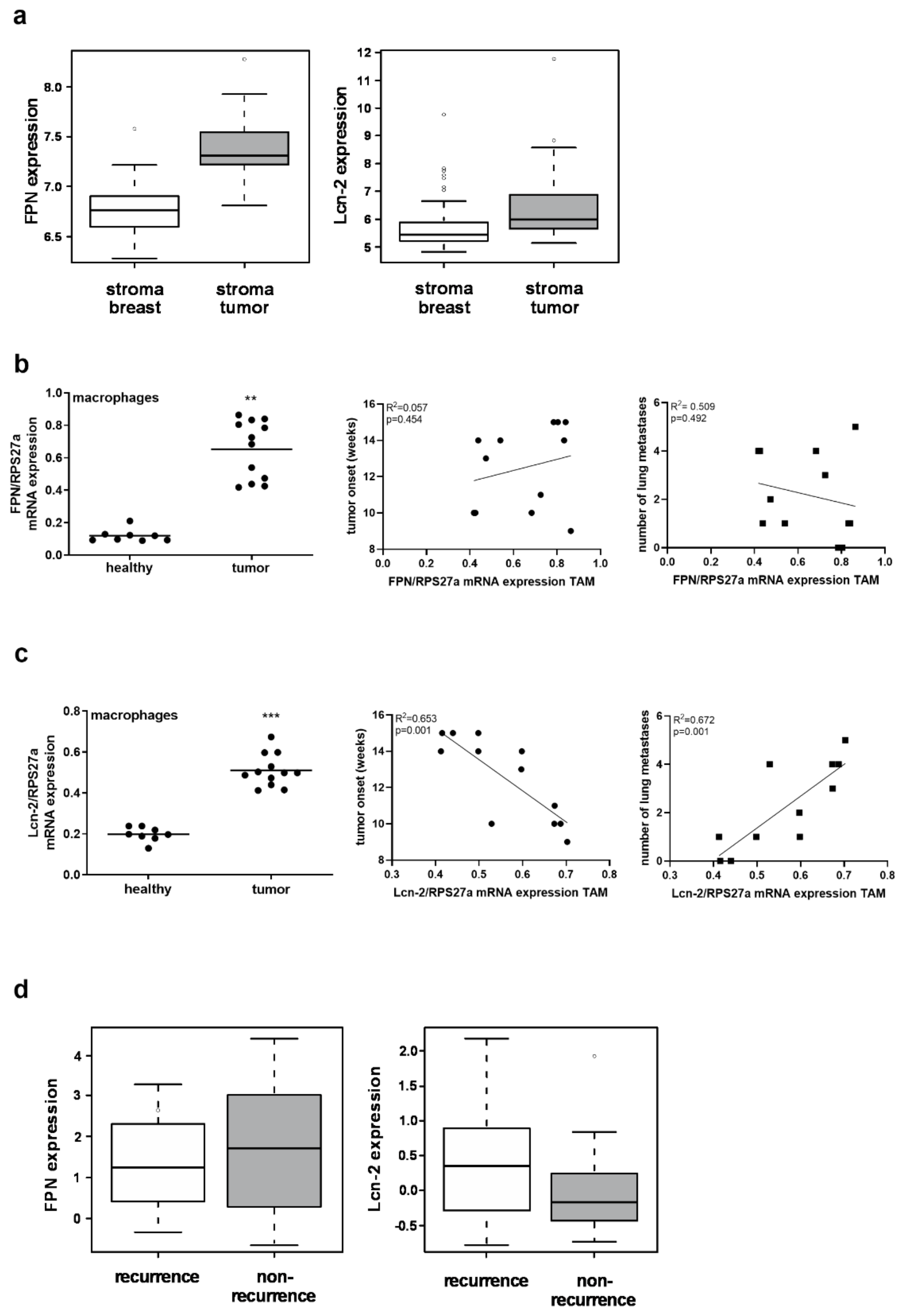 Metabolites 11 00180 g002