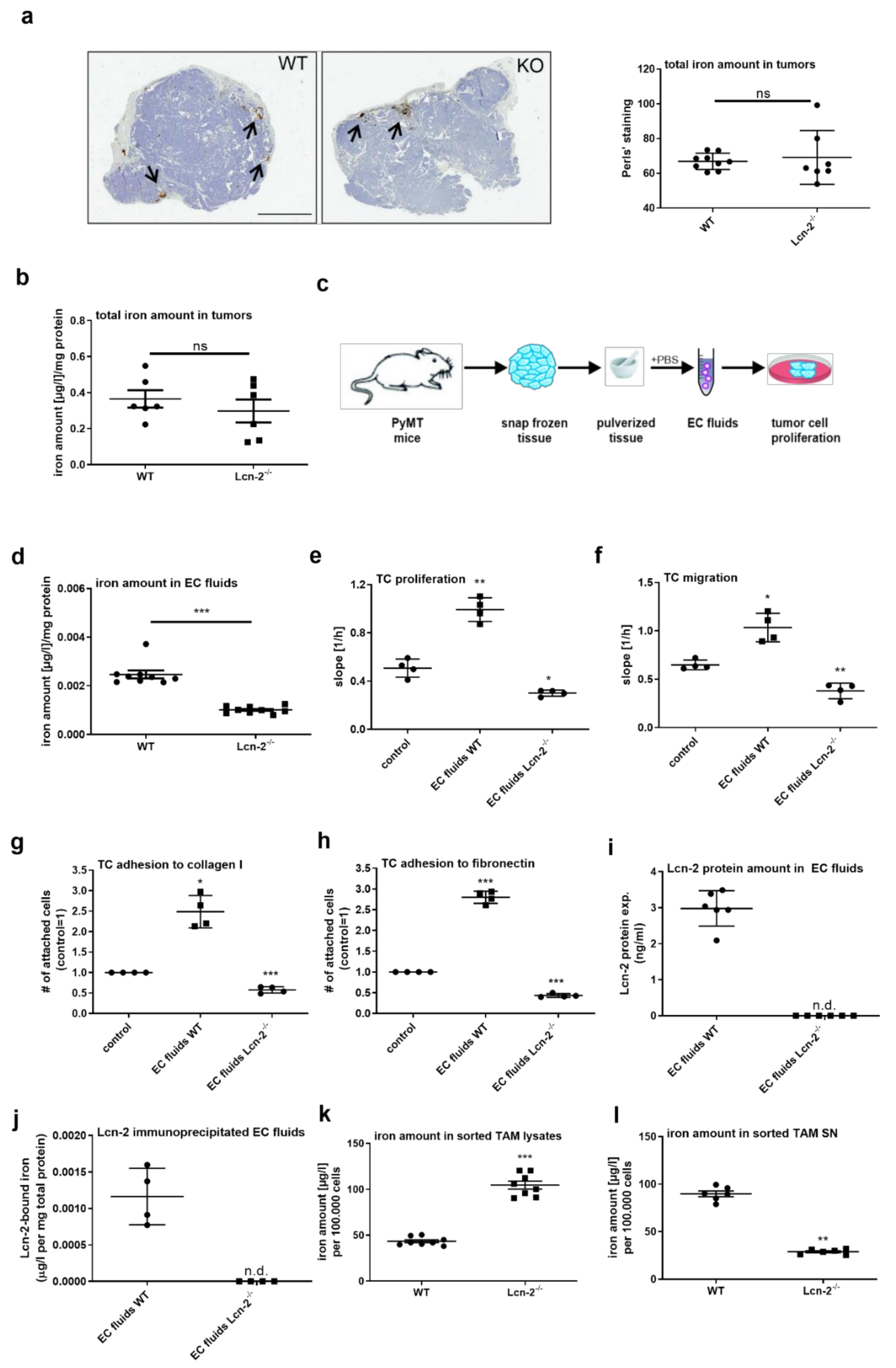 Metabolites 11 00180 g003