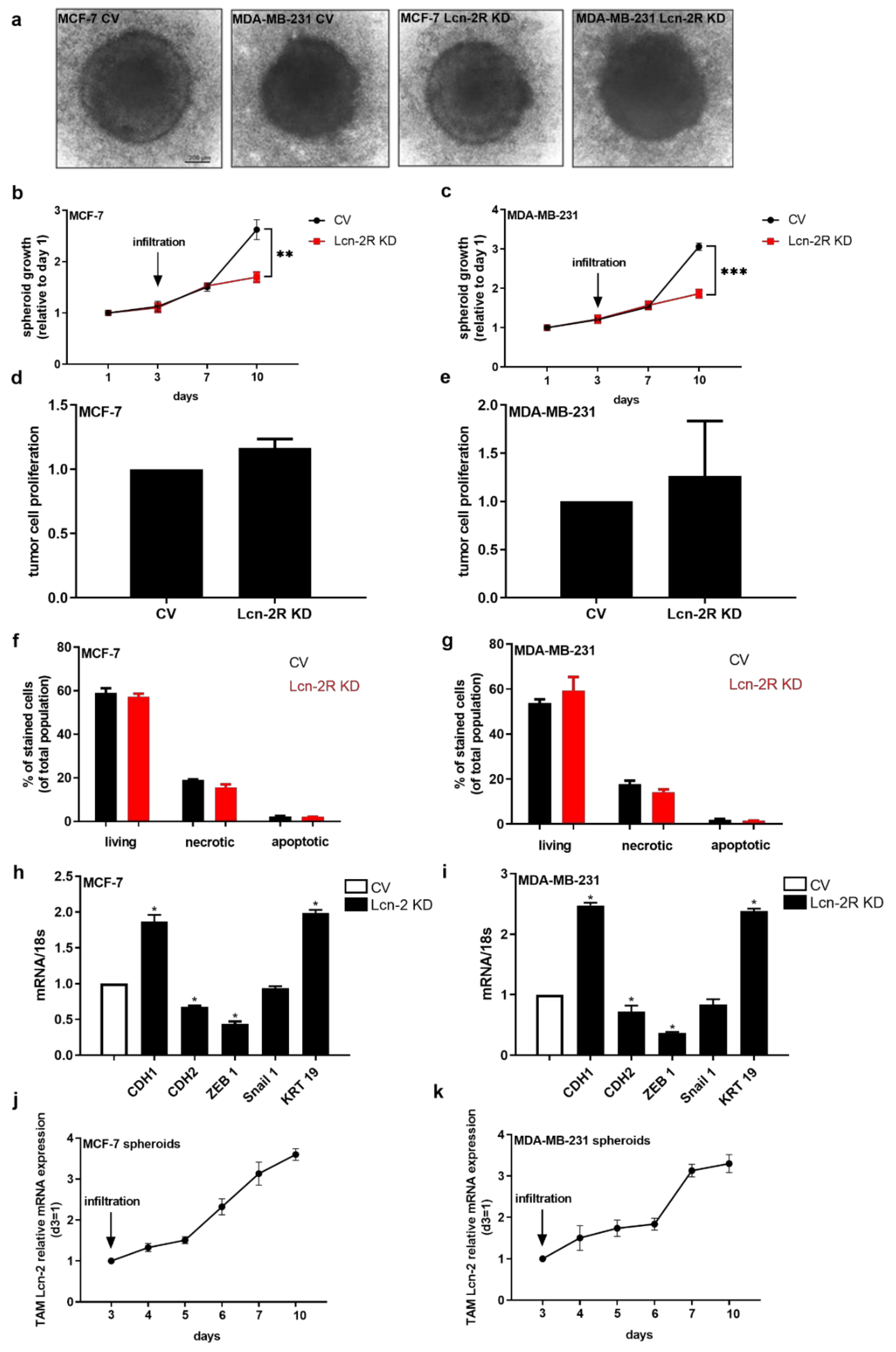 Metabolites 11 00180 g005