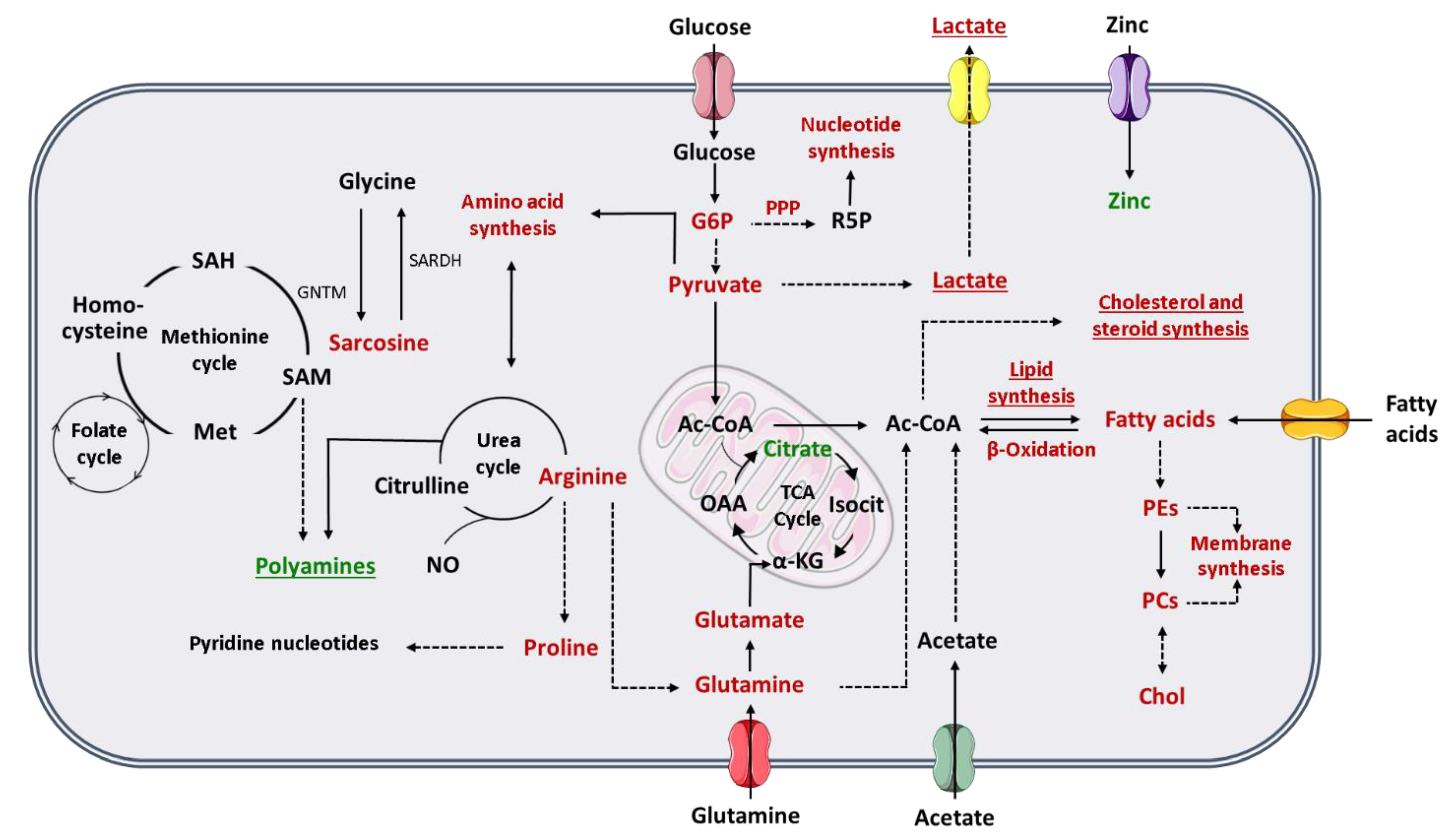 Metabolites 11 00181 g001 Metabolites 11 00181 g001
