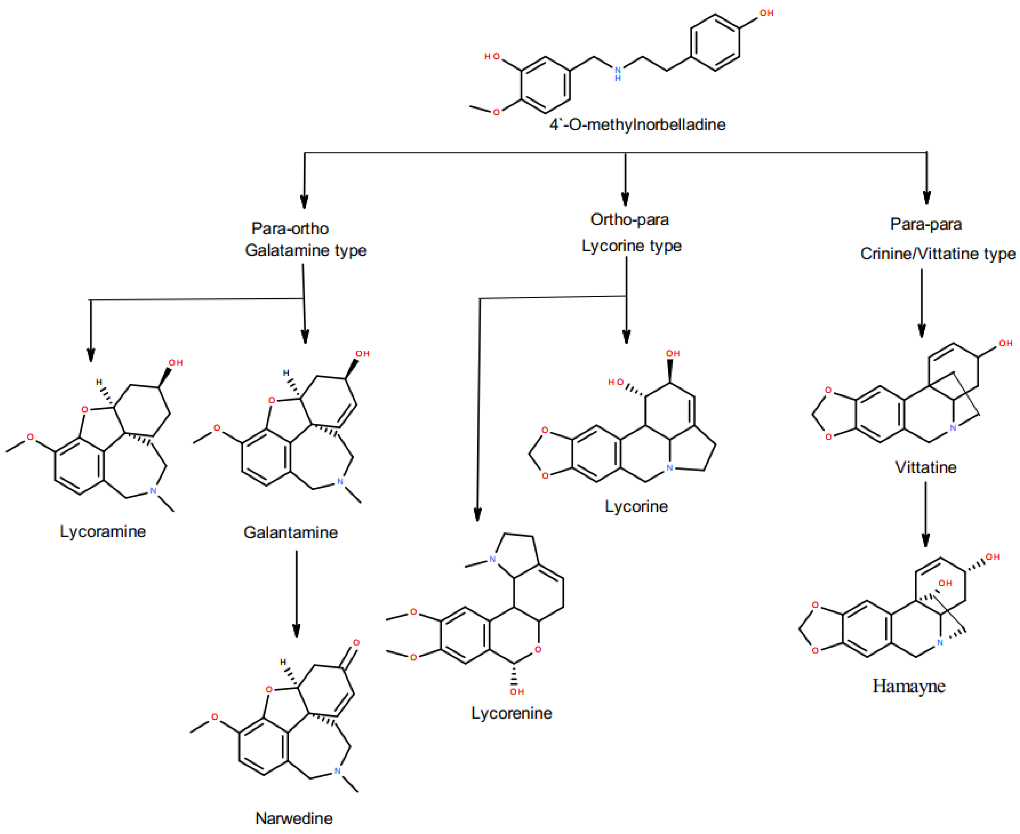 Metabolites 11 00185 g001 Metabolites 11 00185 g001