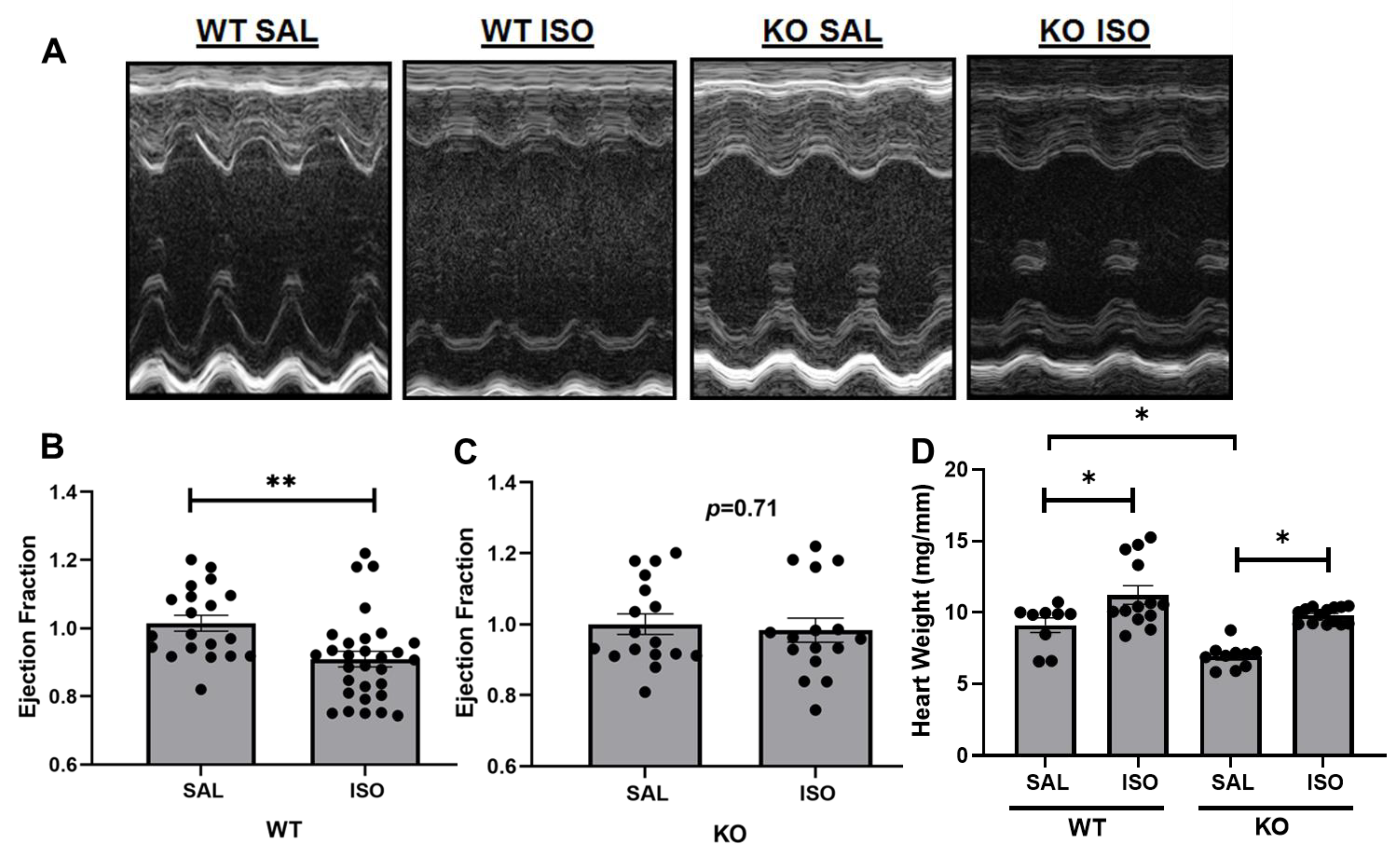 Metabolites 11 00201 g001 Metabolites 11 00201 g001