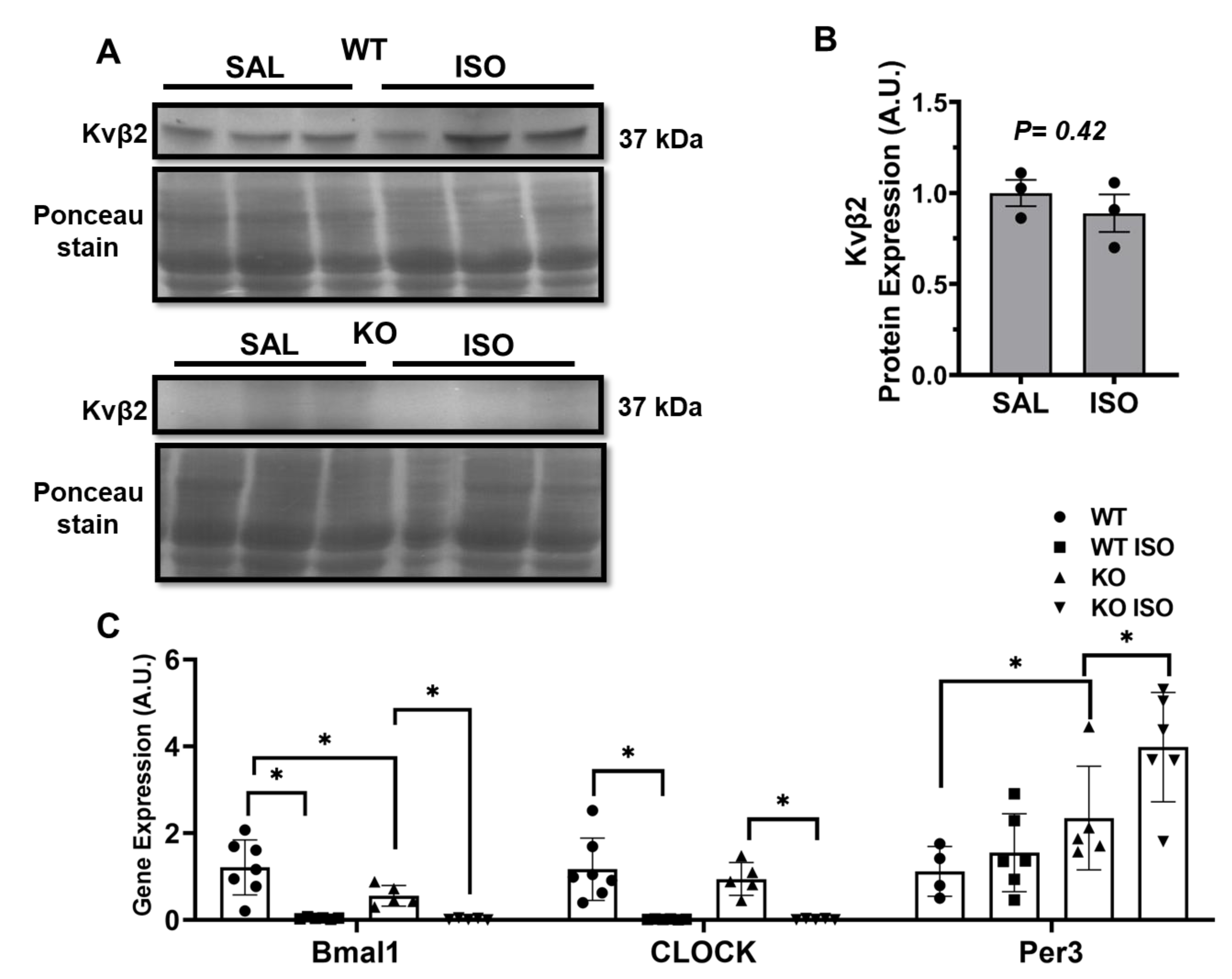 Metabolites 11 00201 g006 Metabolites 11 00201 g006