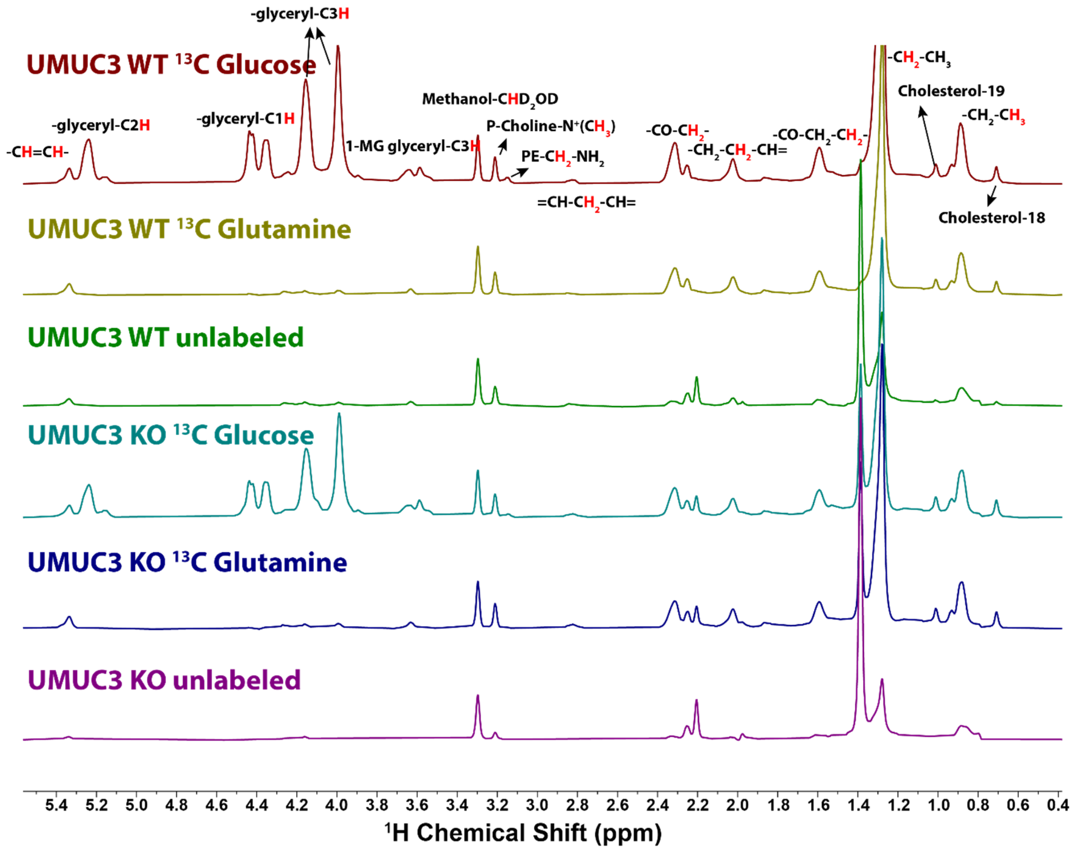 Metabolites 11 00202 g004