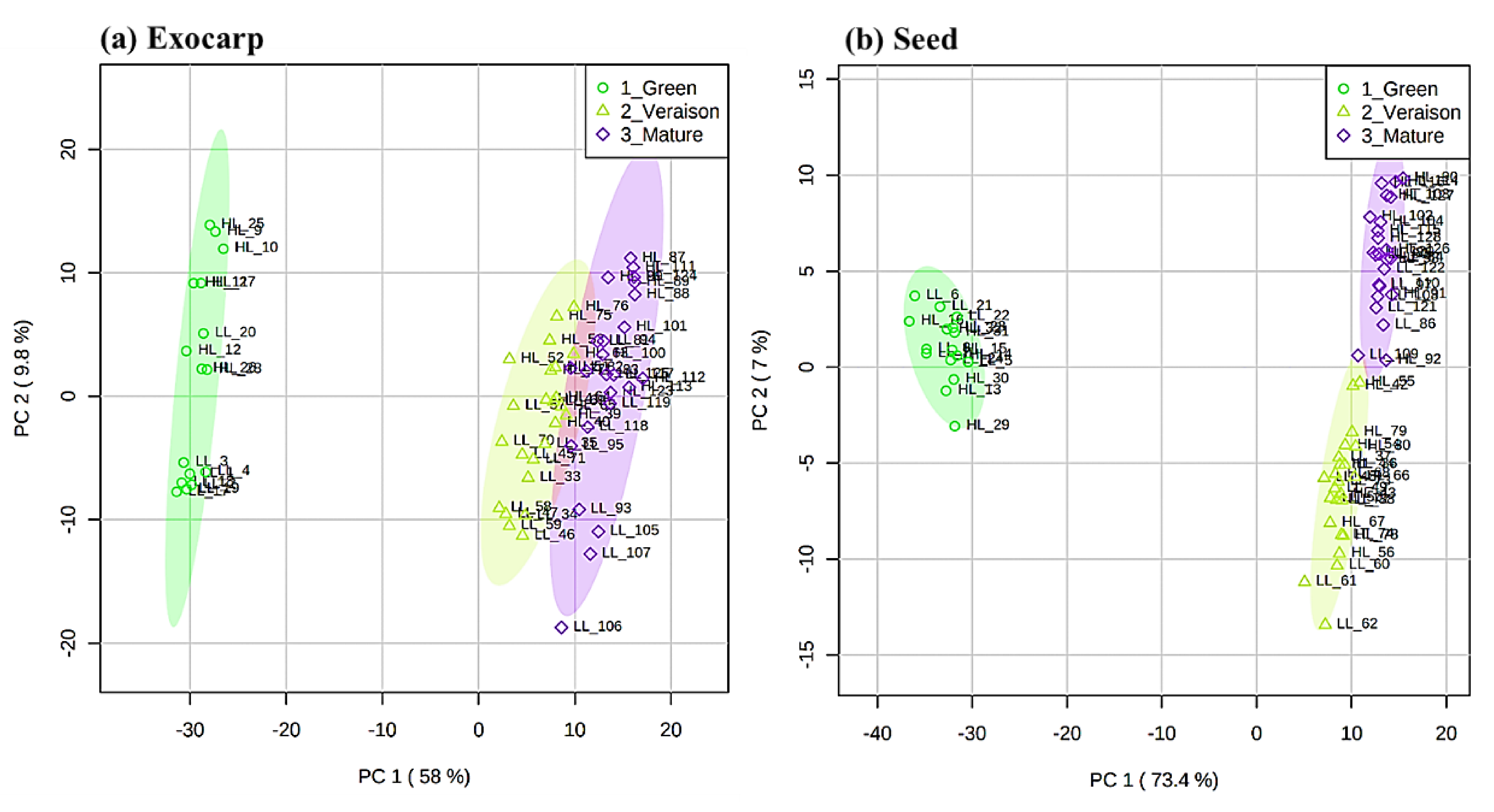 Metabolites 11 00205 g001