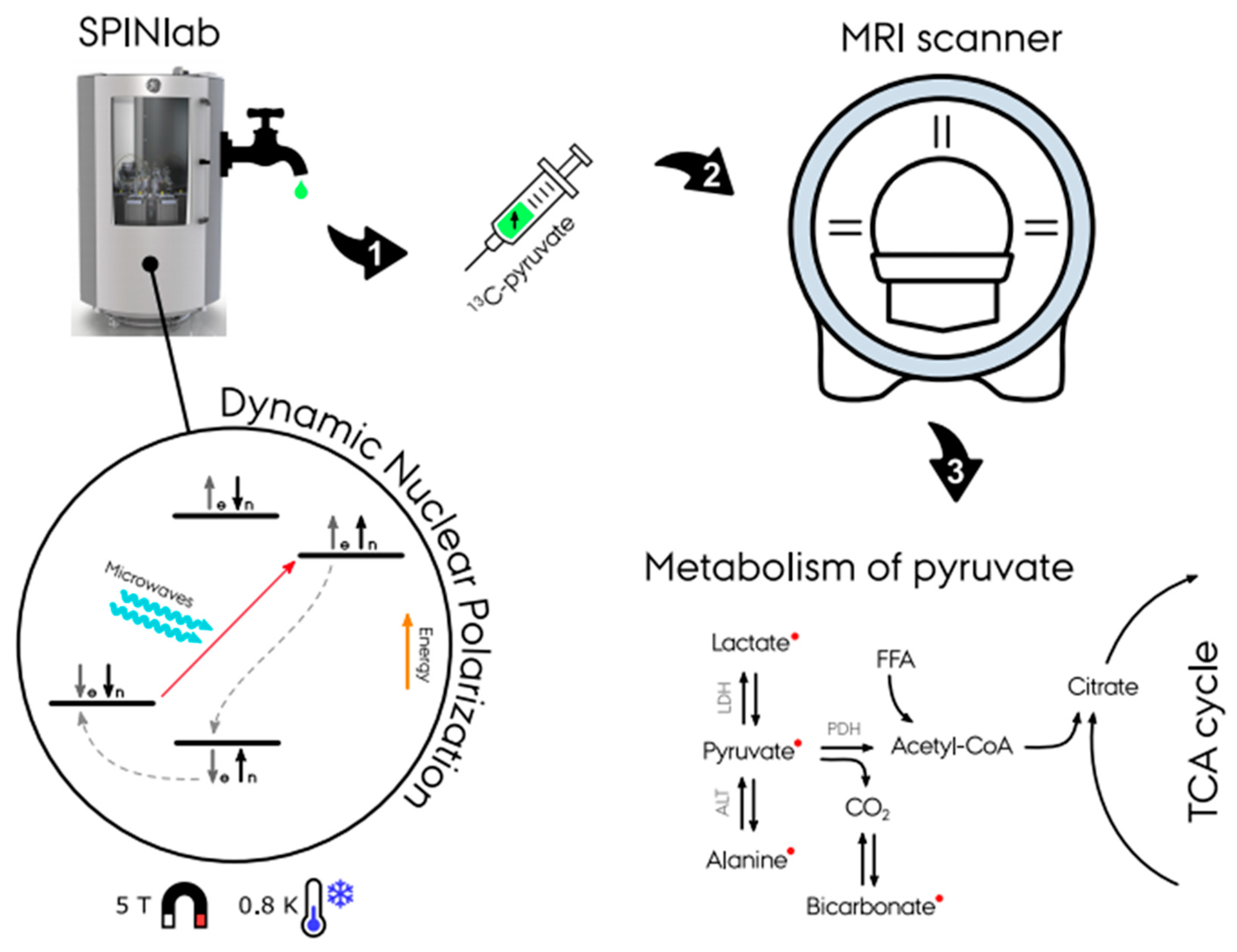 Metabolites 11 00219 g002