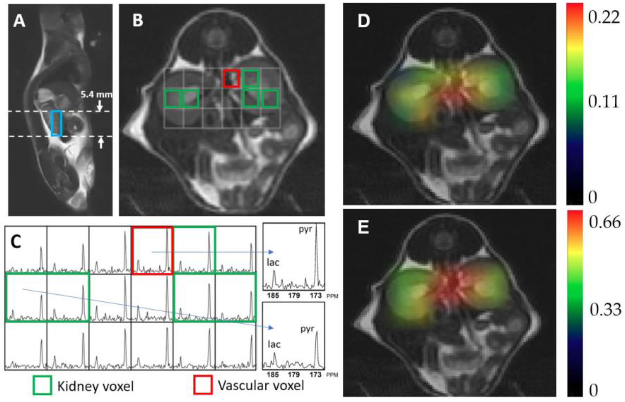 Metabolites 11 00222 g002