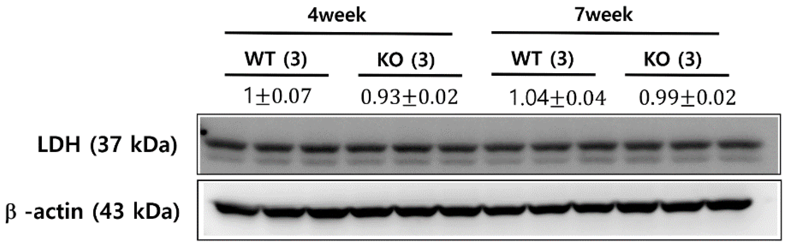 Metabolites 11 00222 g005