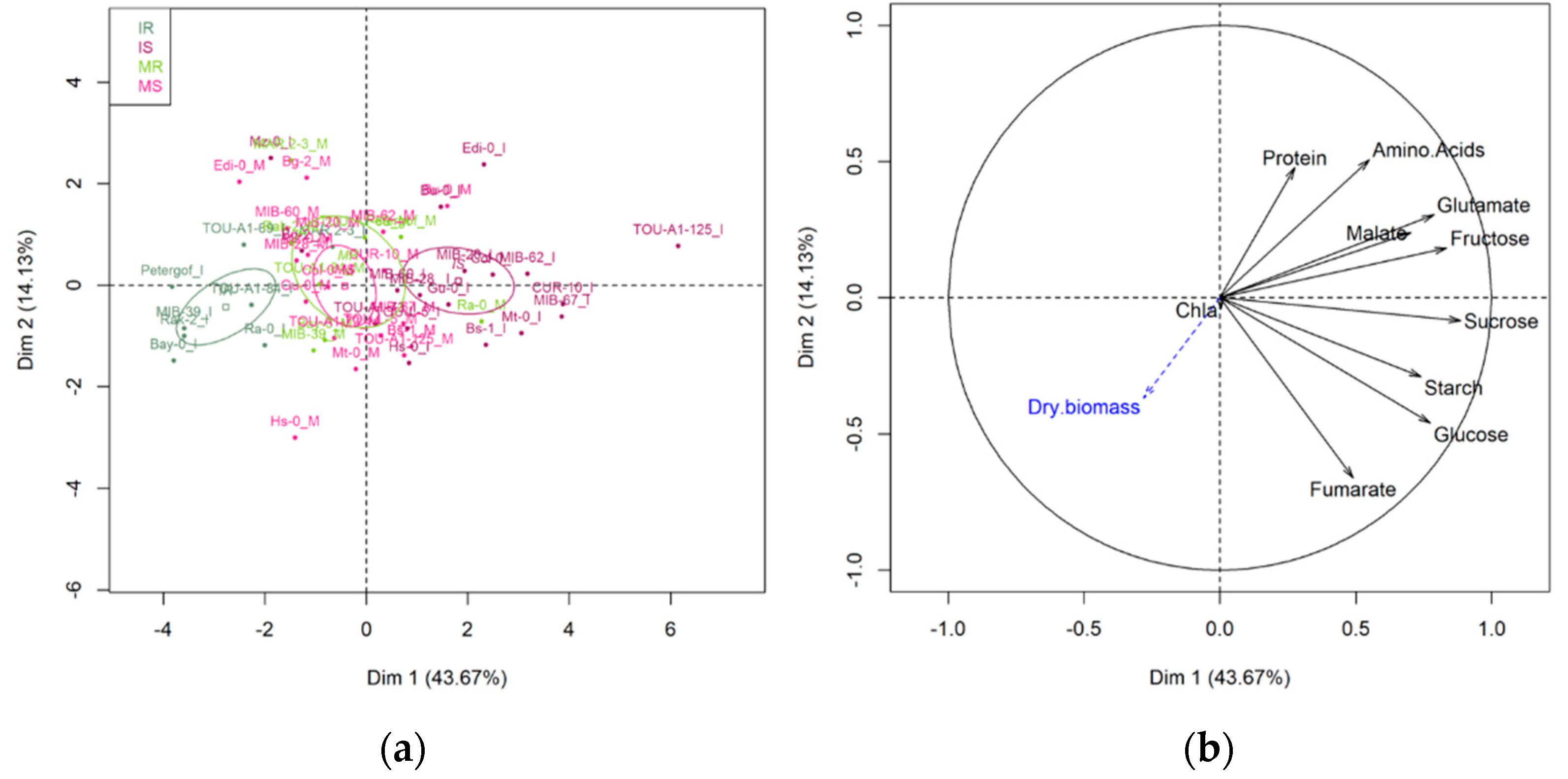 Metabolites 11 00230 g003