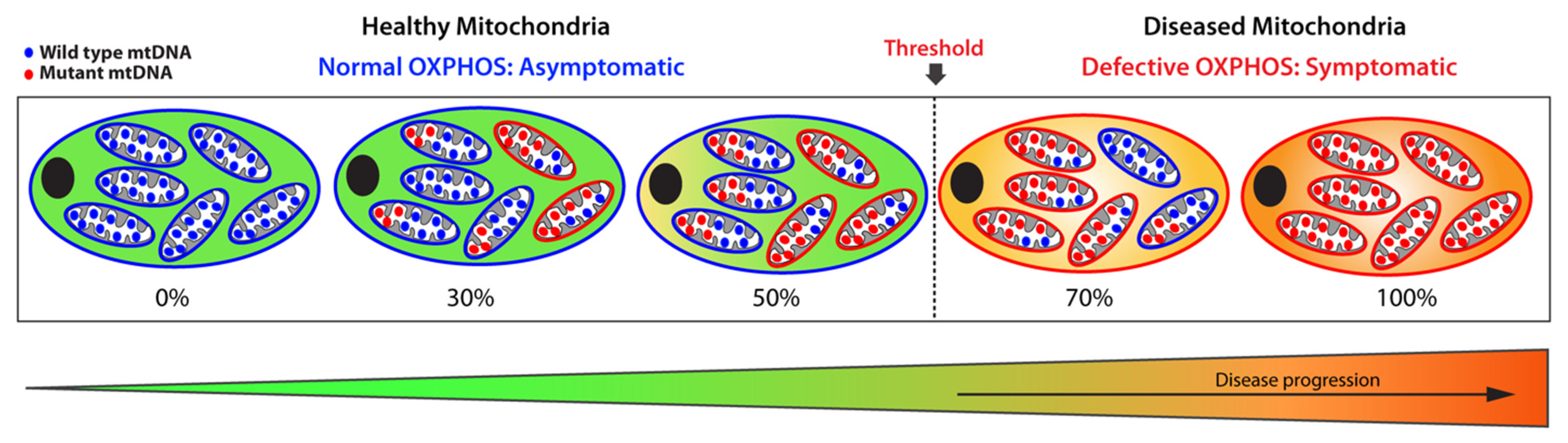 Metabolites 11 00233 g002