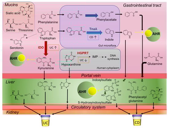 Metabolites 11 00245 g004