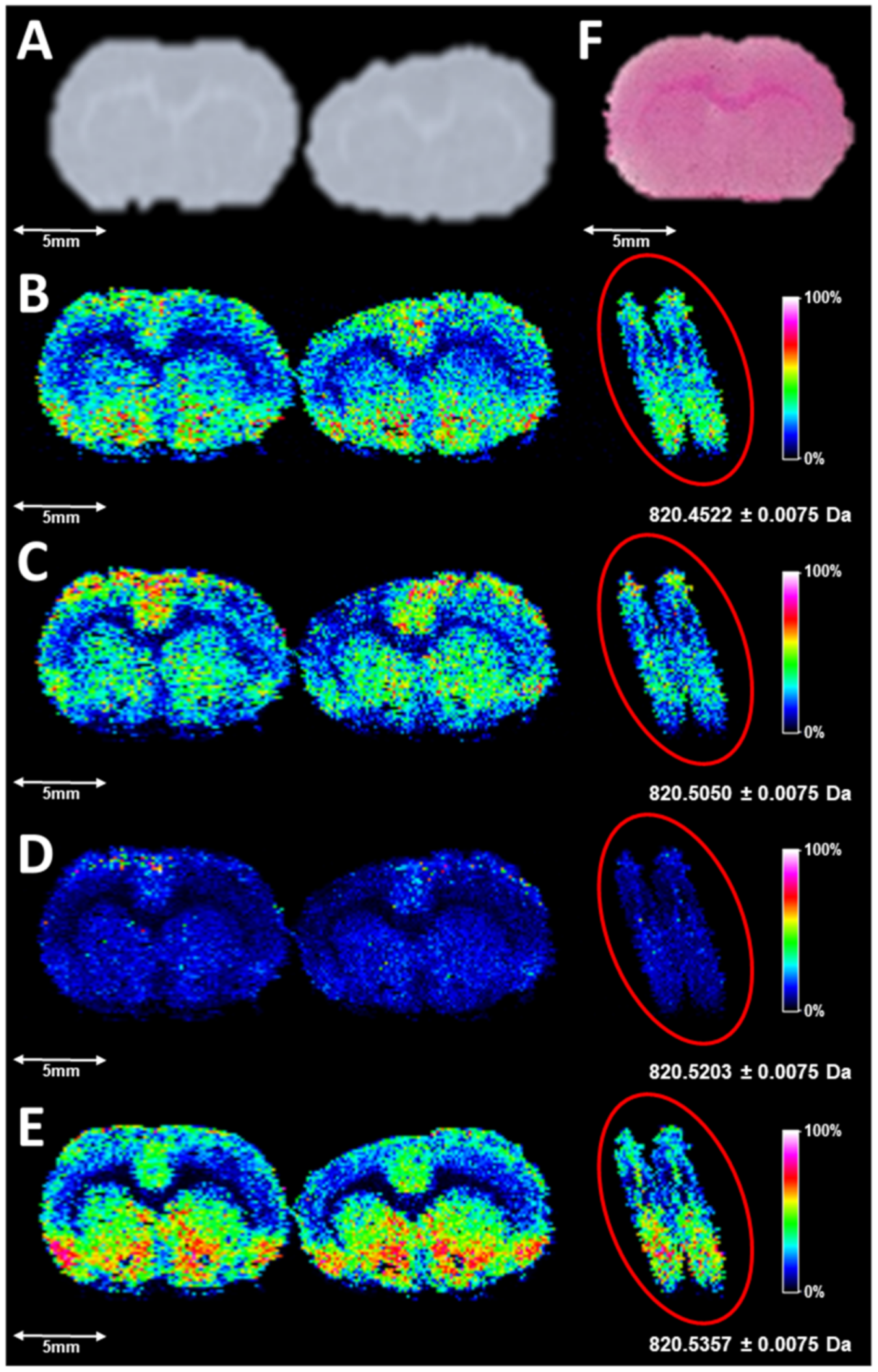 Metabolites 11 00253 g001